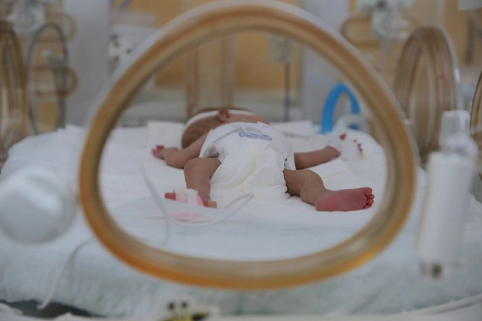 Van'da 'Parmak Bebekler' Hayata Tutunuyor