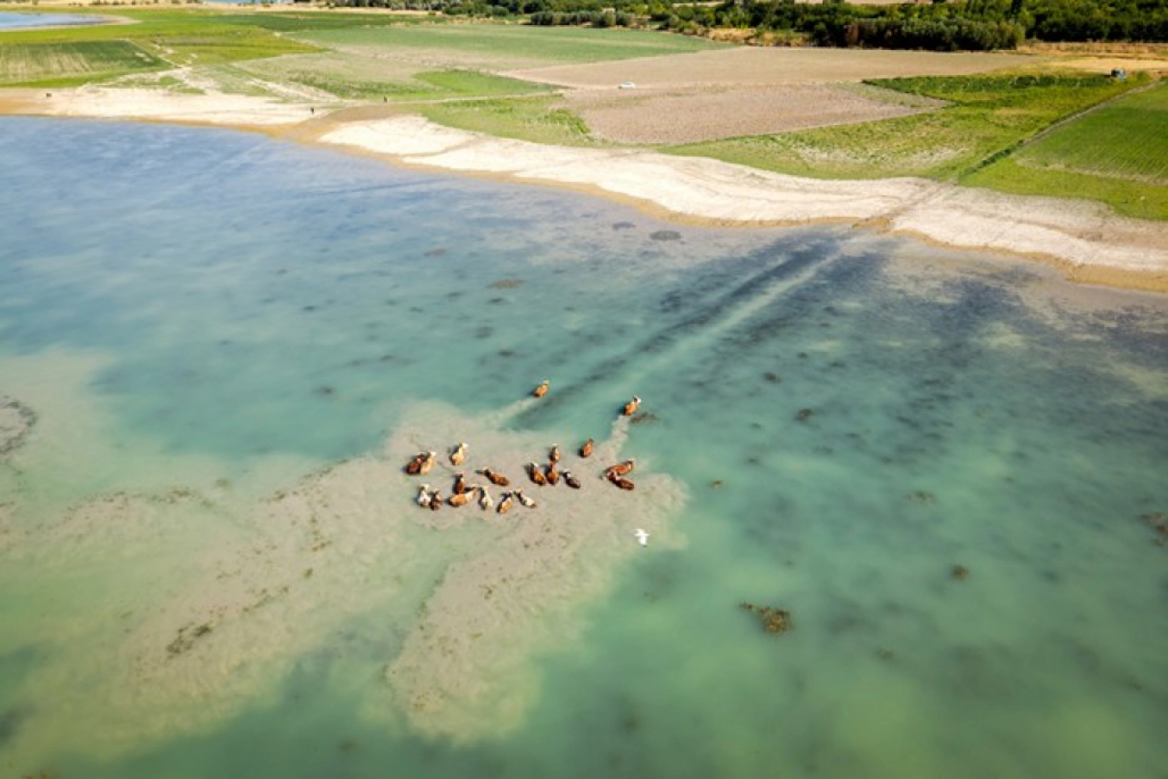 Karakaya Barajı'nda Su Seviyesi Alarm Veriyor: Eski Yerleşimler Ortaya Çıktı