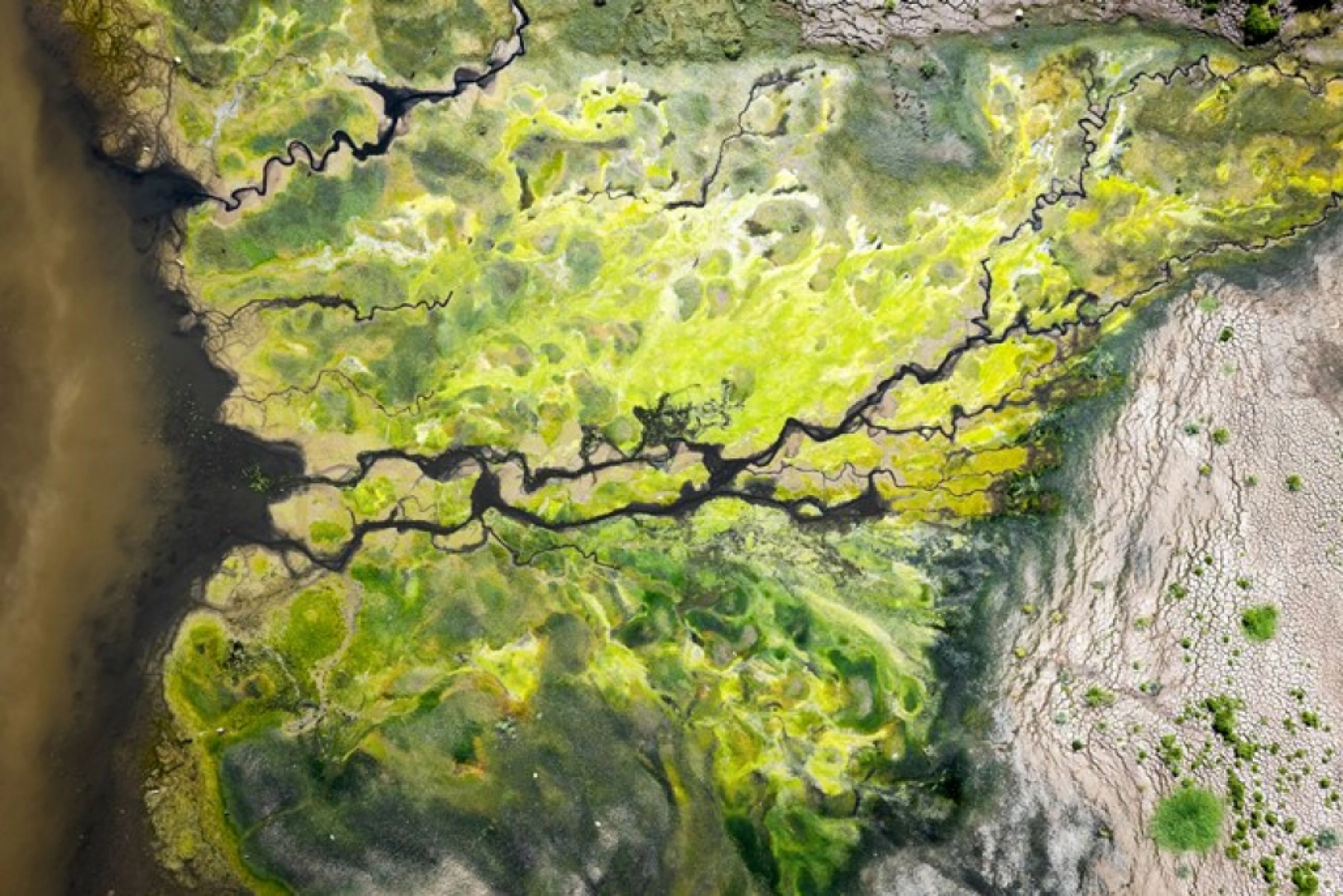 Karakaya Barajı'nda Su Seviyesi Alarm Veriyor: Eski Yerleşimler Ortaya Çıktı