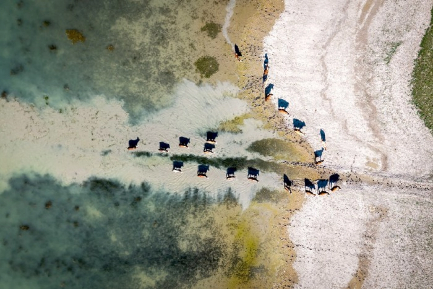 Karakaya Barajı'nda Su Seviyesi Alarm Veriyor: Eski Yerleşimler Ortaya Çıktı