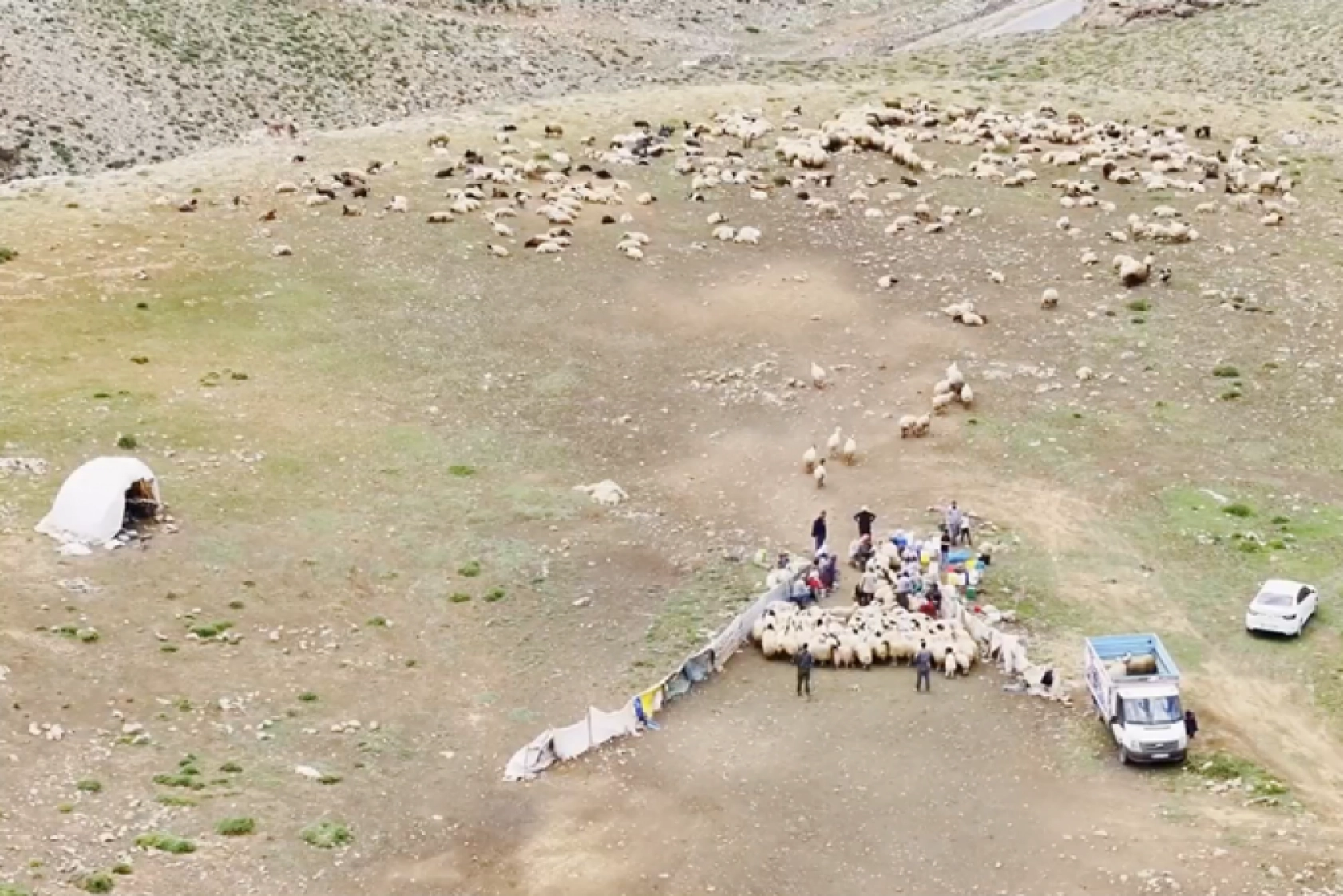 Havanın ısınmasıyla Van'ın yaylalarındaki hareketlilik arttı