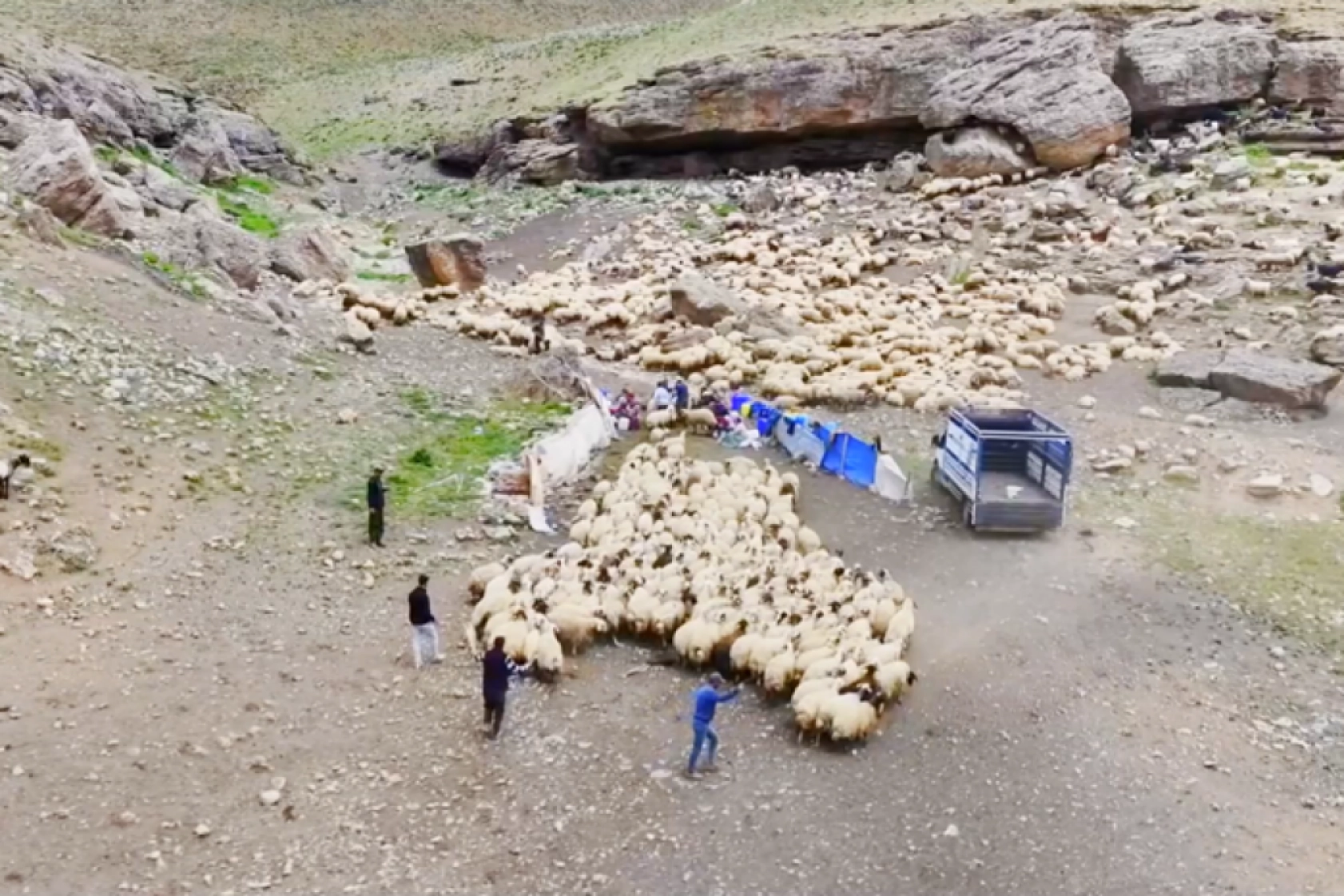 Havanın ısınmasıyla Van'ın yaylalarındaki hareketlilik arttı