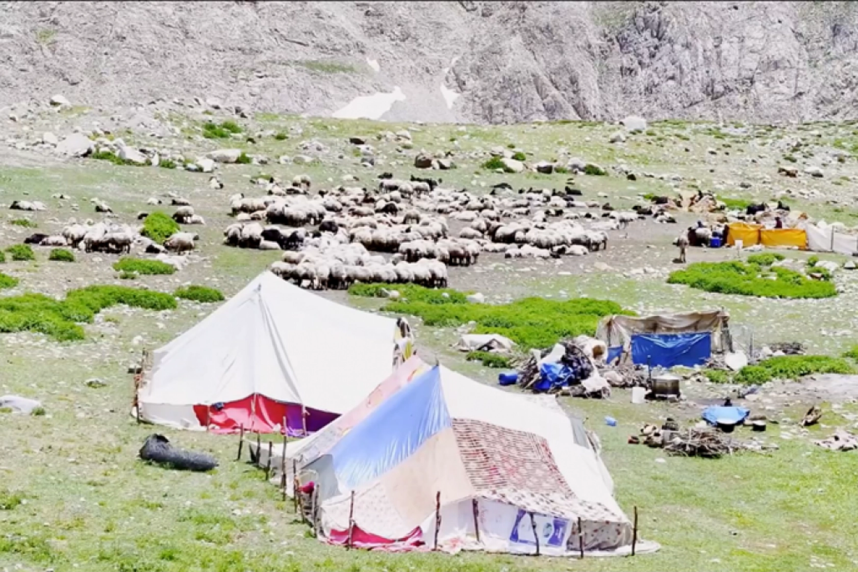 Havanın ısınmasıyla Van'ın yaylalarındaki hareketlilik arttı