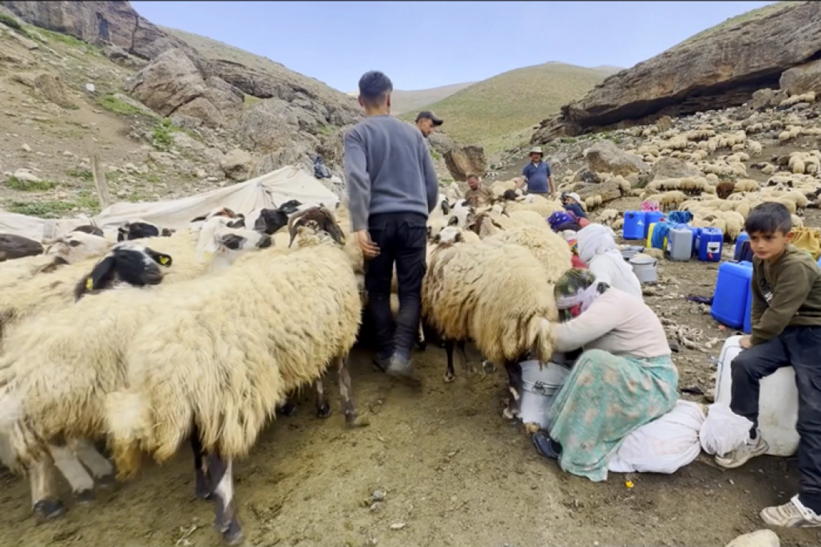 Havanın ısınmasıyla Van'ın yaylalarındaki hareketlilik arttı