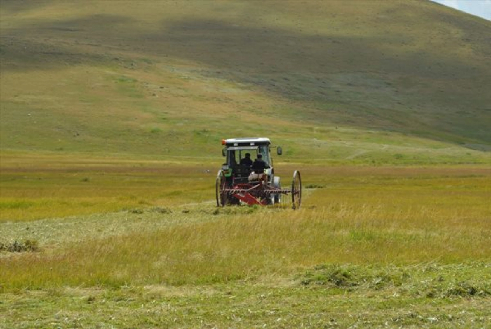 Güneş Altında Zorlu Ot Biçme Mesaisi Sürüyor