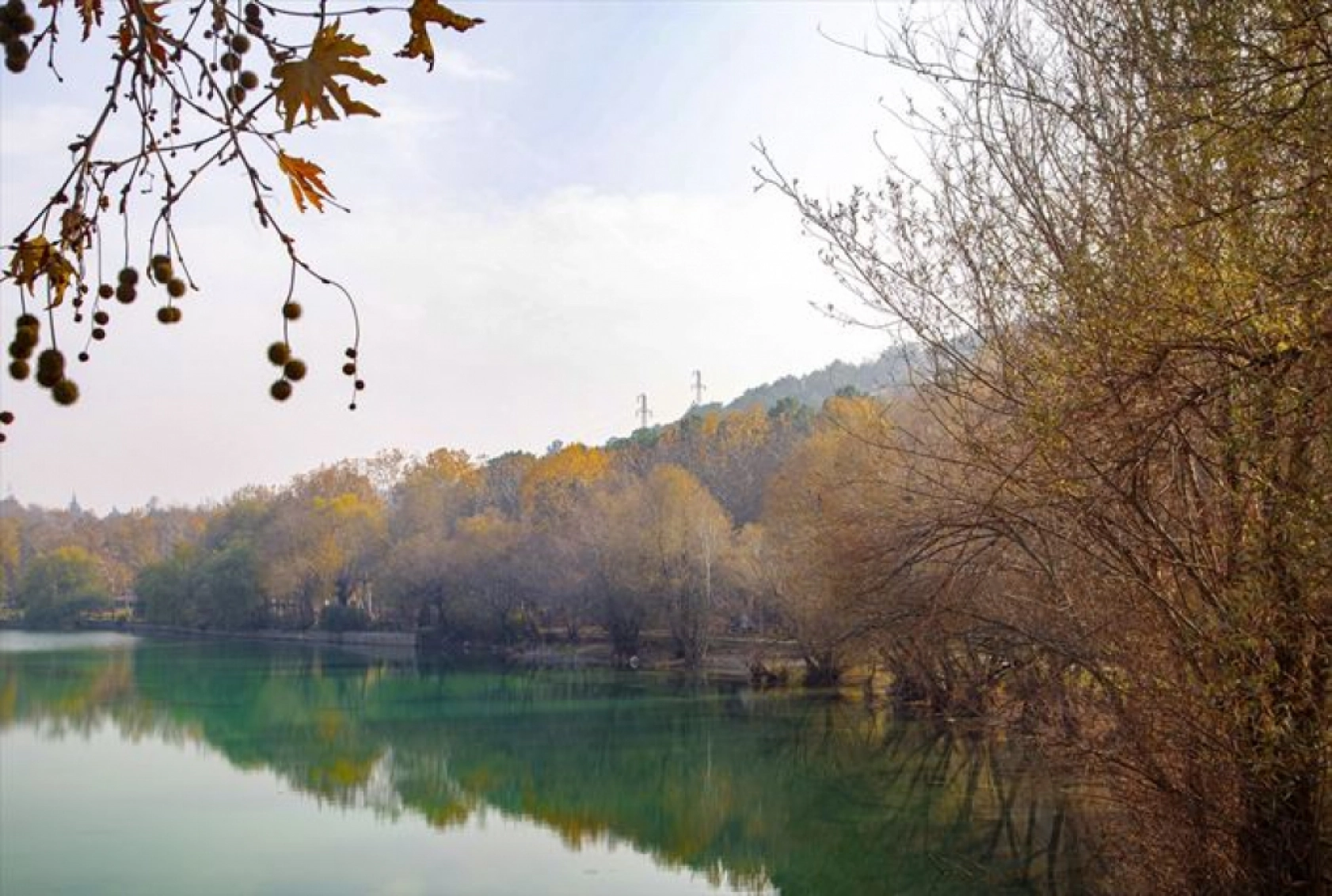 Turgut Özal Tabiat Parkı'nda sonbahar renkleri hakim oldu
