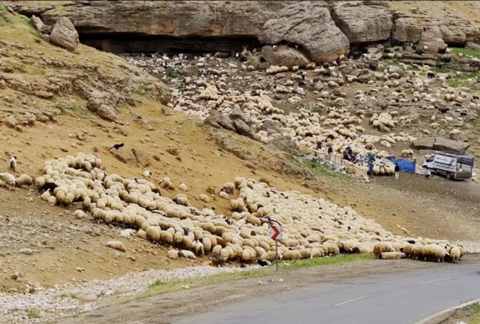 Havanın ısınmasıyla Van'ın yaylalarındaki hareketlilik arttı