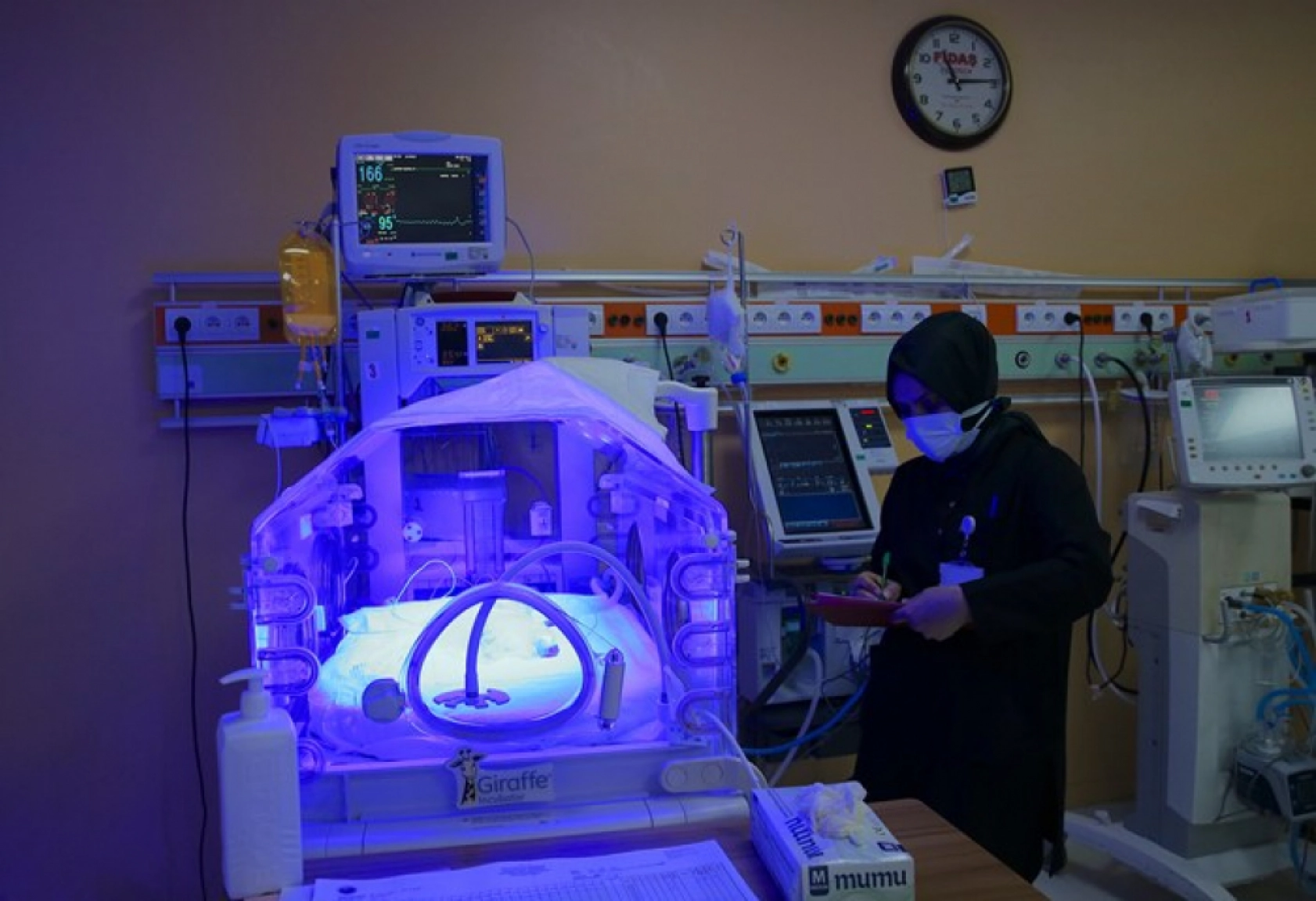 Van'da 'Parmak Bebekler' Hayata Tutunuyor