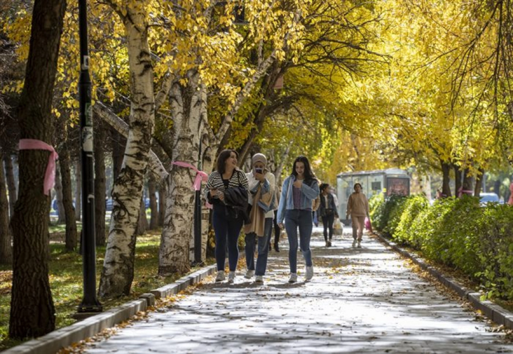 Atatürk Üniversitesi yerleşkesi ve Ata Botanik Bahçe'de sonbahar renkleri hakim oldu