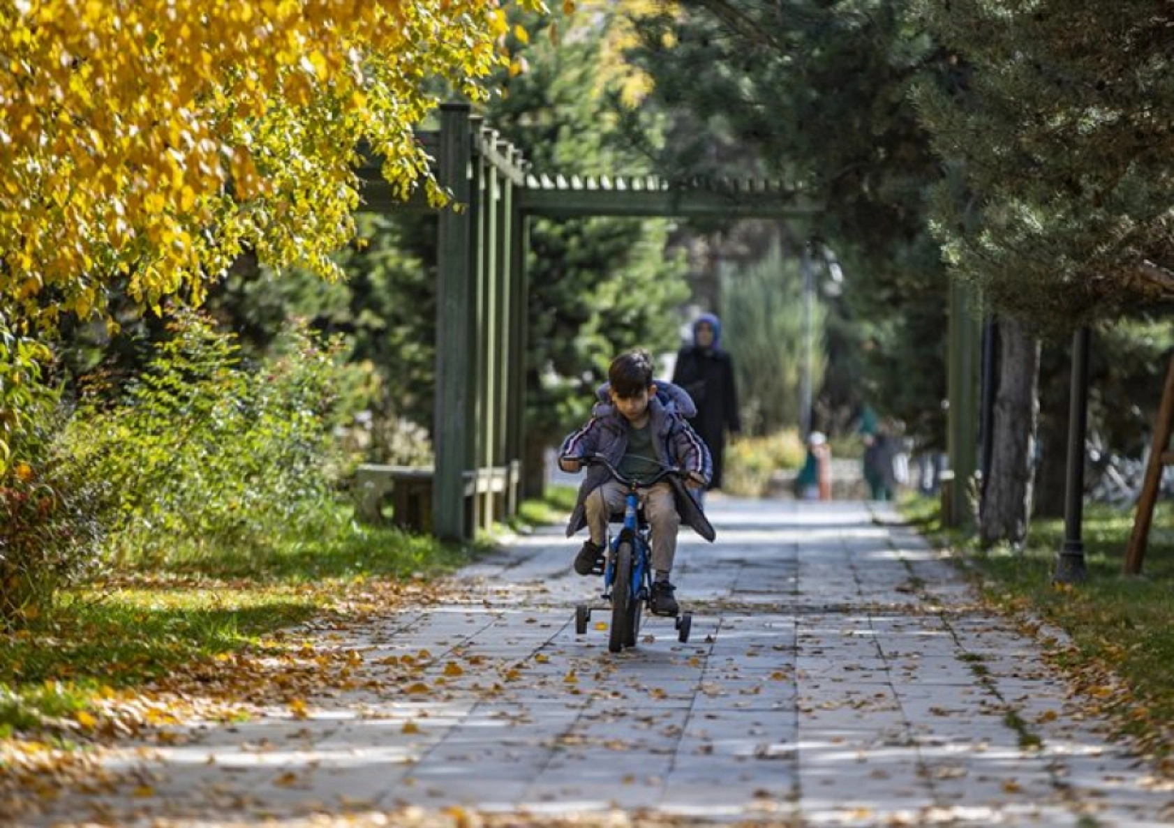 Atatürk Üniversitesi yerleşkesi ve Ata Botanik Bahçe'de sonbahar renkleri hakim oldu
