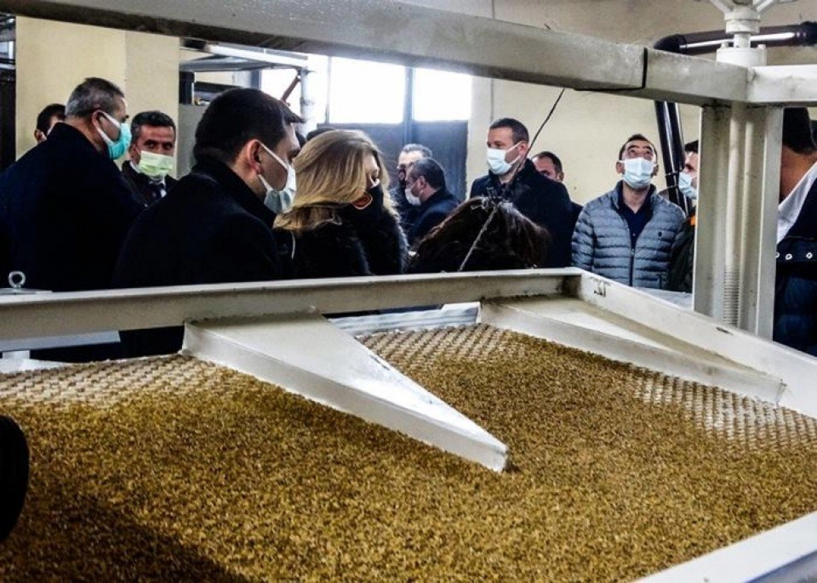 Kavılca Buğdayı ülke ekonomisine katma değer katacak