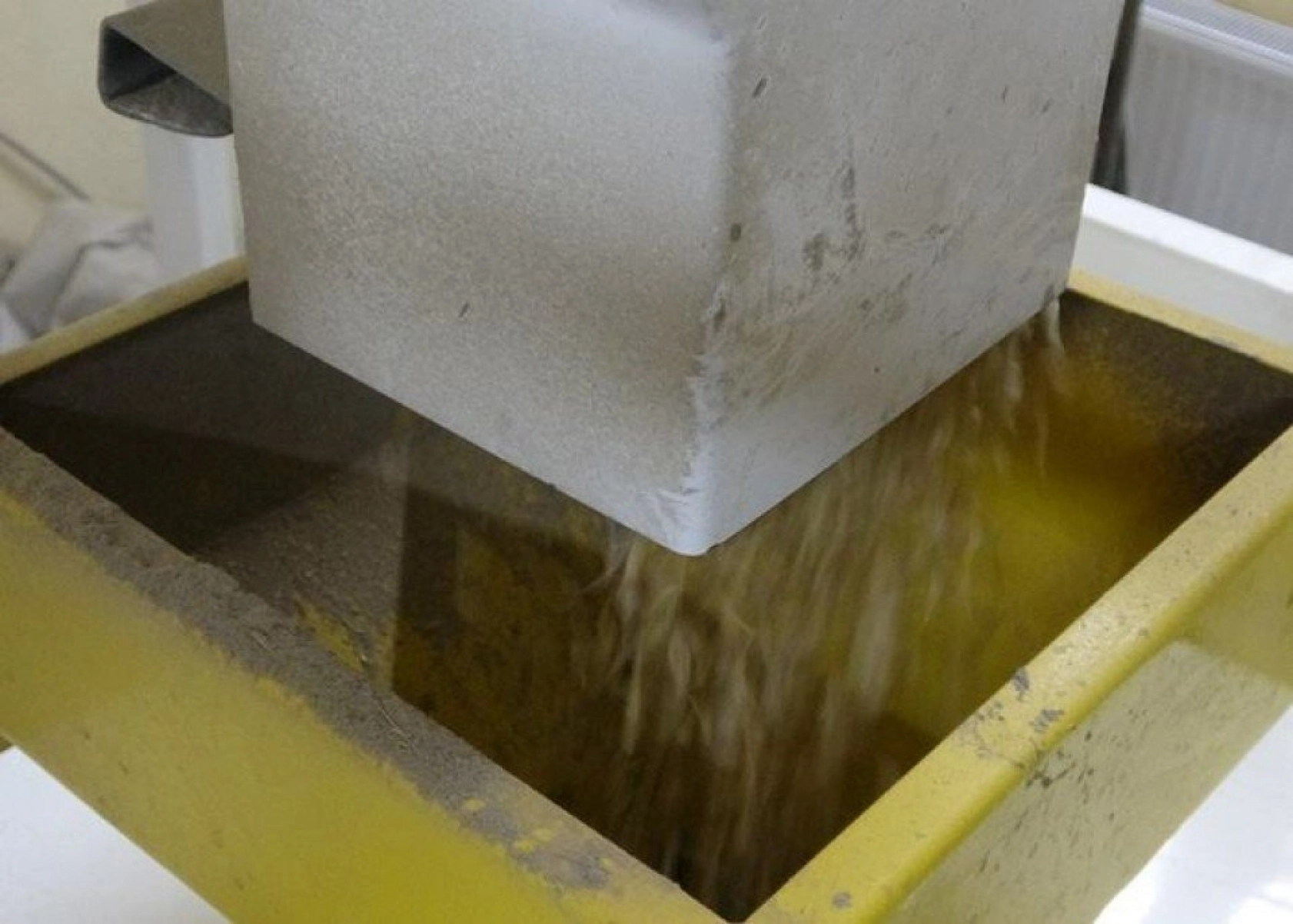 Kavılca Buğdayı ülke ekonomisine katma değer katacak