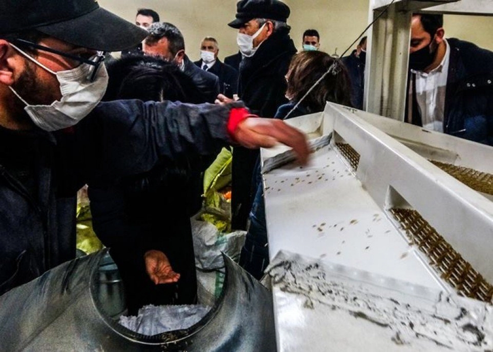 Kavılca Buğdayı ülke ekonomisine katma değer katacak