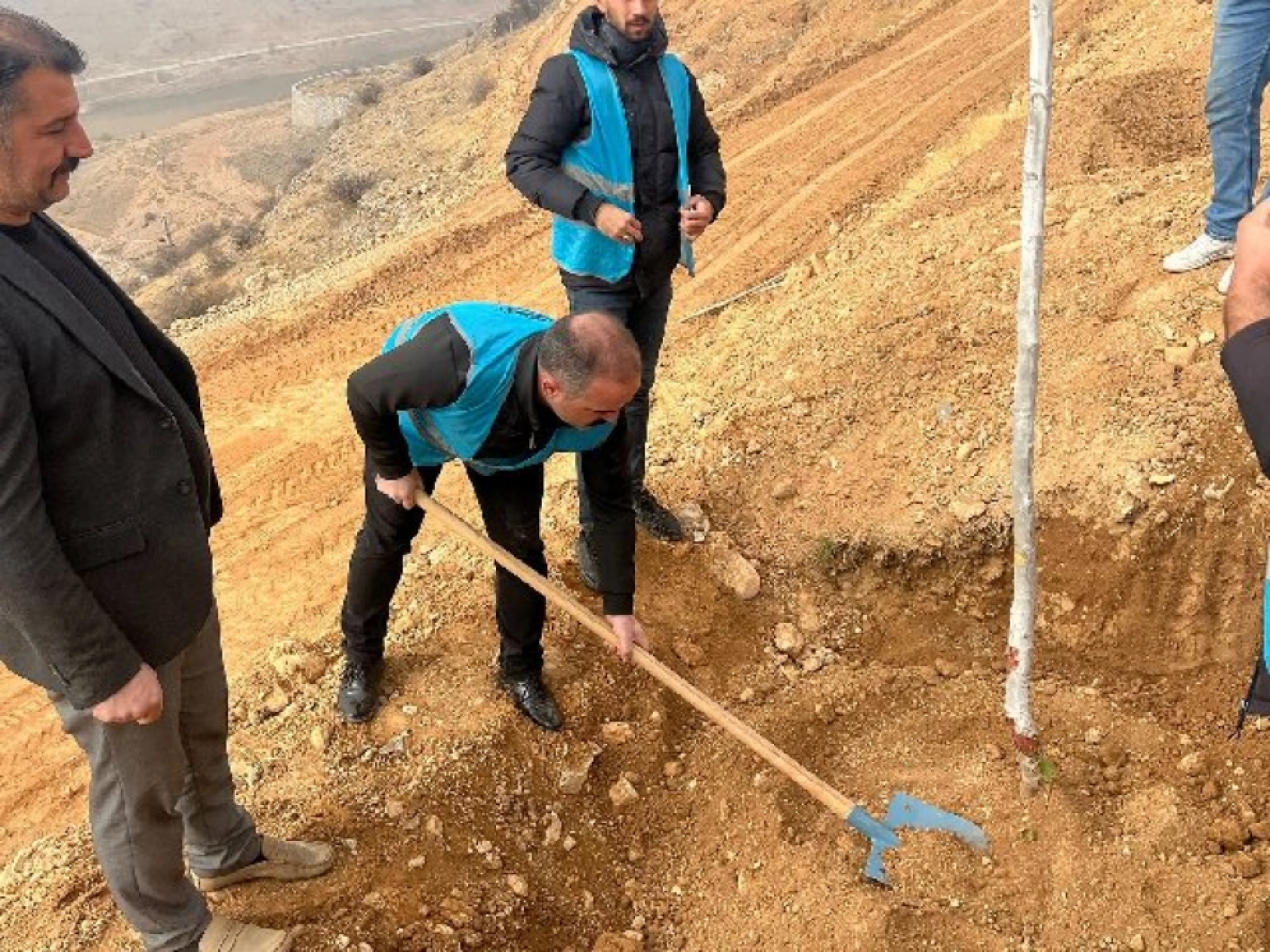 Ülkü Ocakları Malatya İl Başkanlığı'ndan Fidan Dikimi: Geleceğe Yeşil Miras