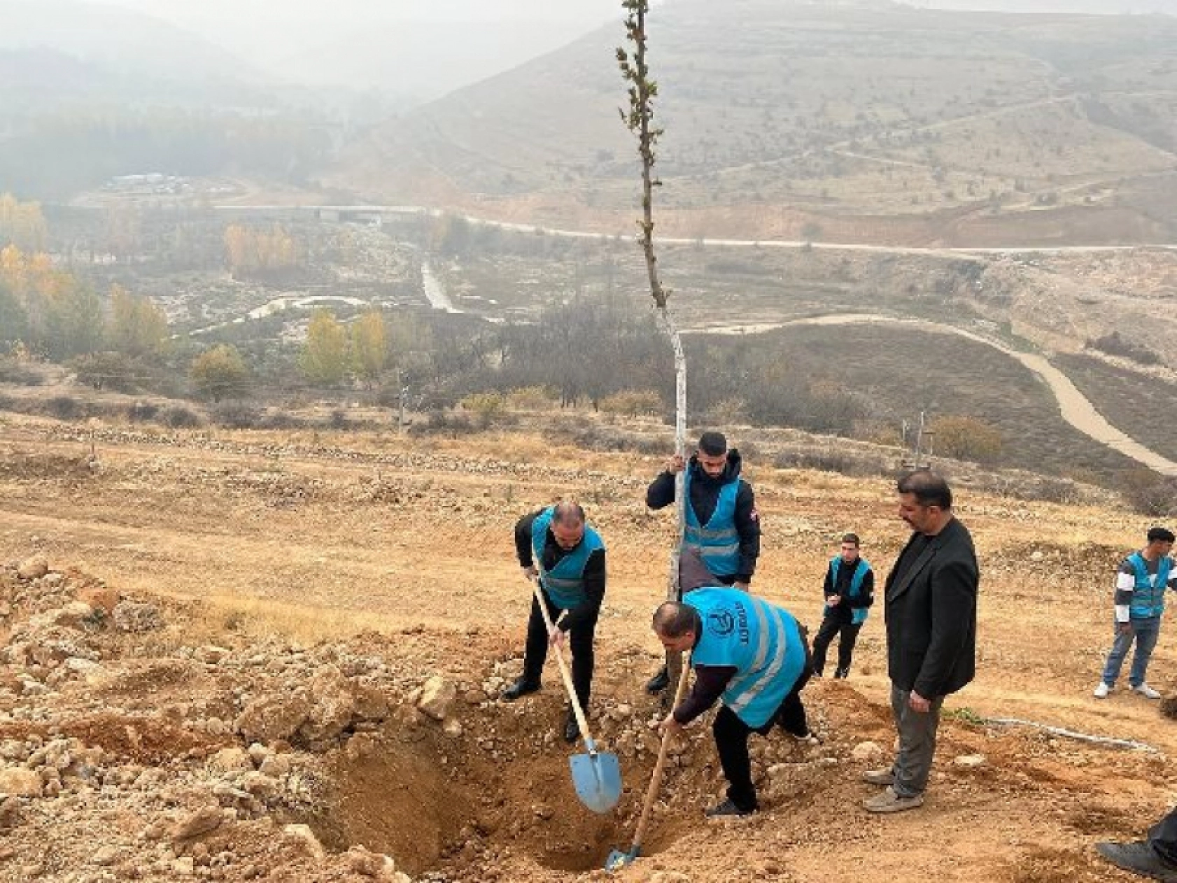 Ülkü Ocakları Malatya İl Başkanlığı'ndan Fidan Dikimi: Geleceğe Yeşil Miras