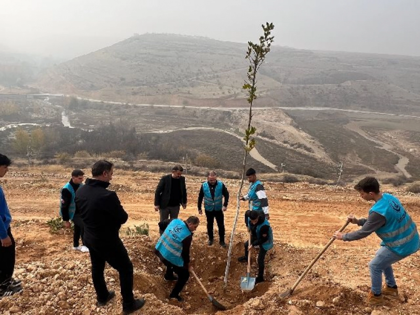 Ülkü Ocakları Malatya İl Başkanlığı'ndan Fidan Dikimi: Geleceğe Yeşil Miras