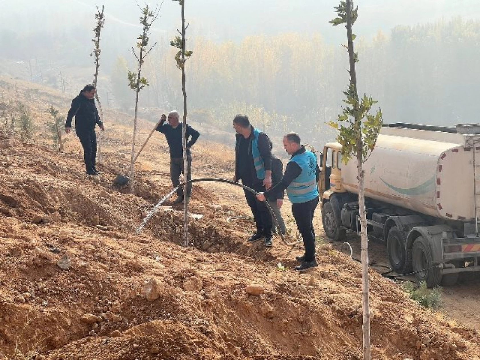 Ülkü Ocakları Malatya İl Başkanlığı'ndan Fidan Dikimi: Geleceğe Yeşil Miras