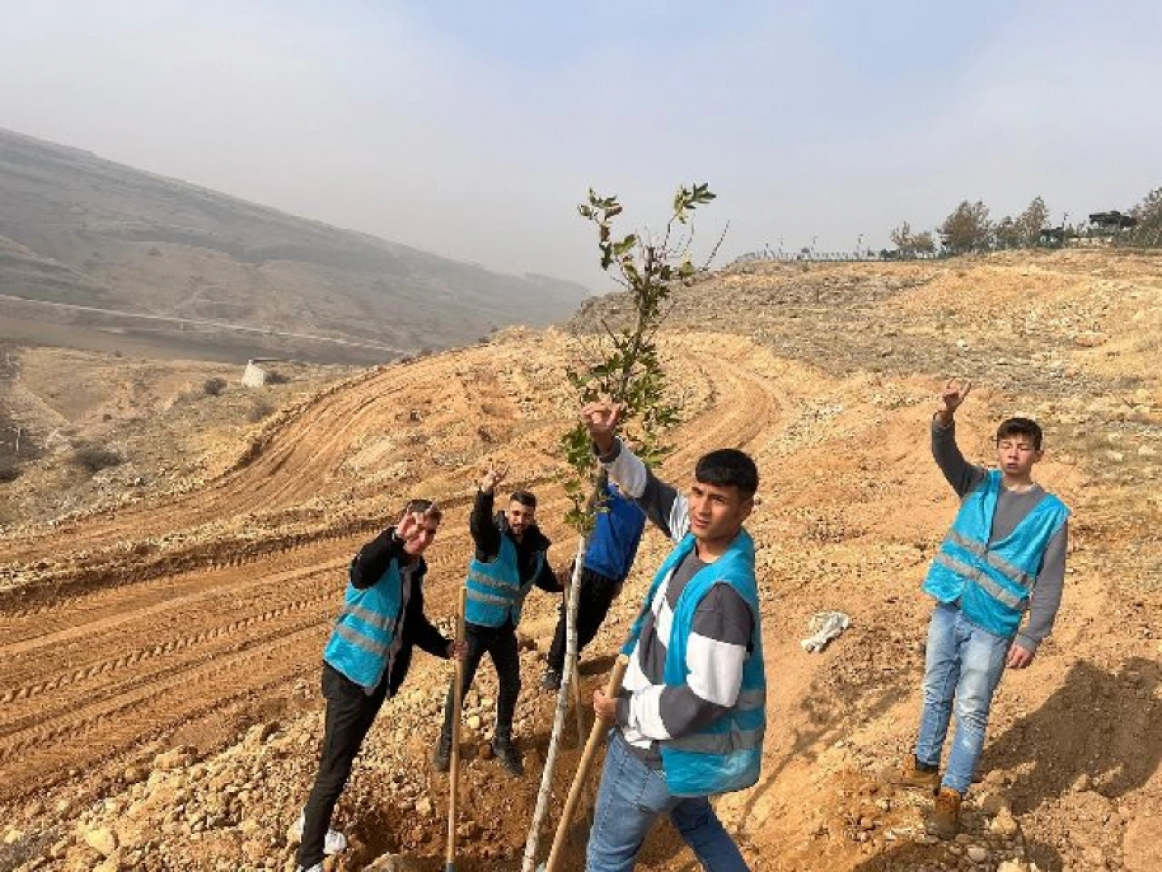 Ülkü Ocakları Malatya İl Başkanlığı'ndan Fidan Dikimi: Geleceğe Yeşil Miras