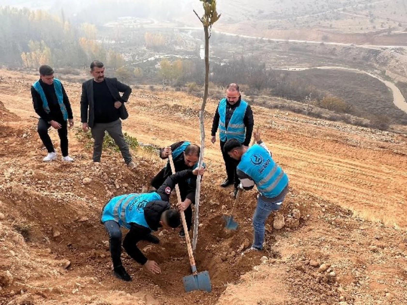 Ülkü Ocakları Malatya İl Başkanlığı'ndan Fidan Dikimi: Geleceğe Yeşil Miras