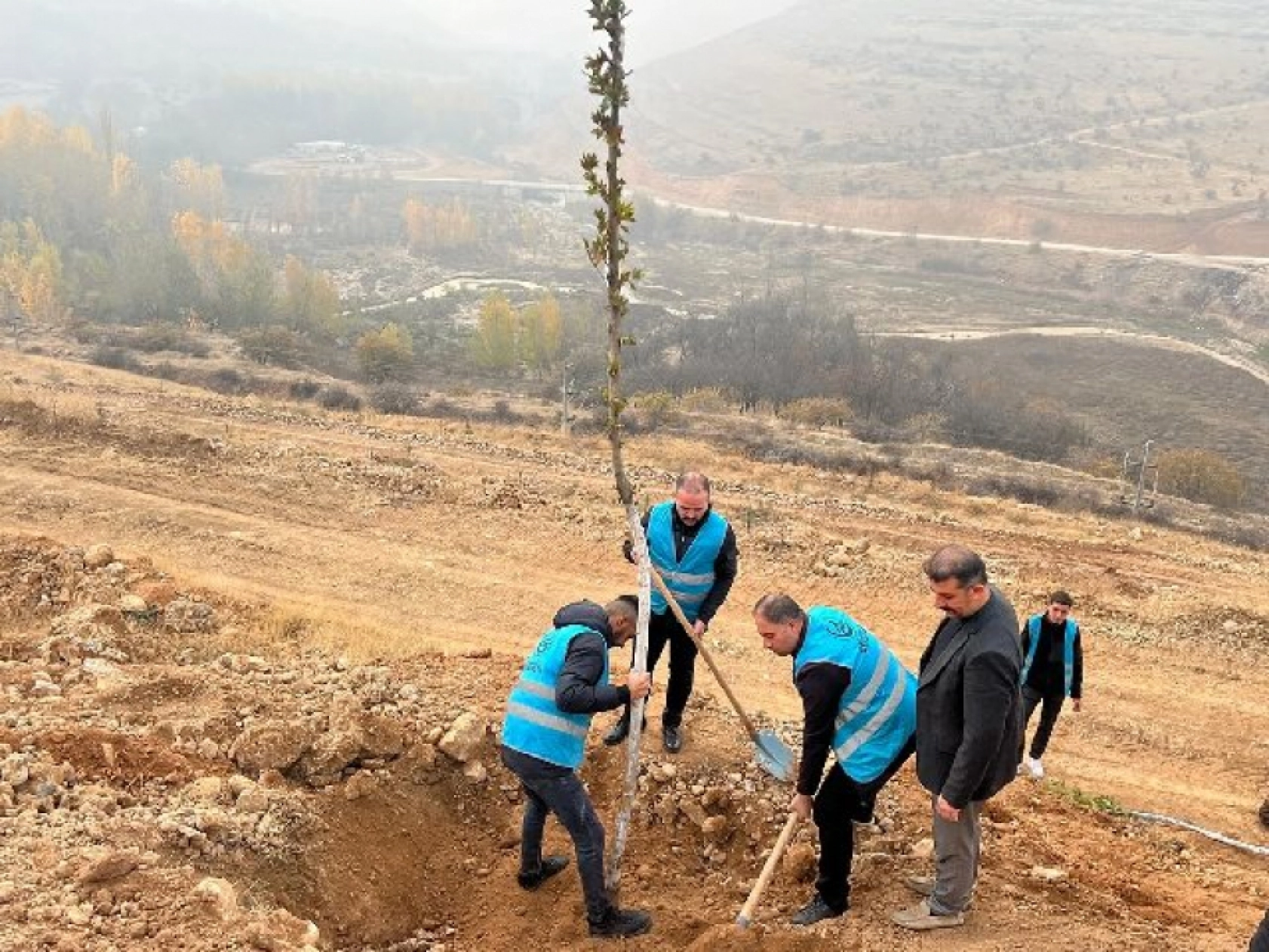 Ülkü Ocakları Malatya İl Başkanlığı'ndan Fidan Dikimi: Geleceğe Yeşil Miras