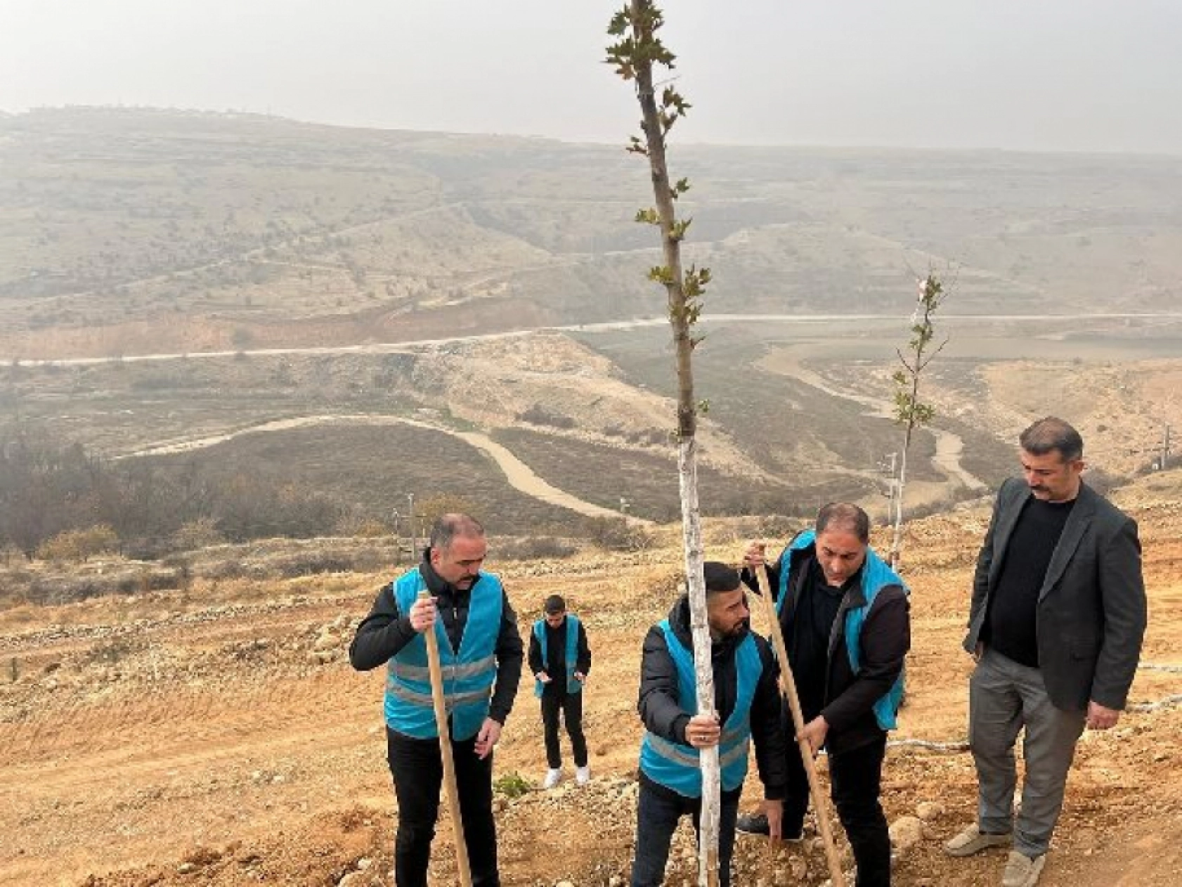 Ülkü Ocakları Malatya İl Başkanlığı'ndan Fidan Dikimi: Geleceğe Yeşil Miras
