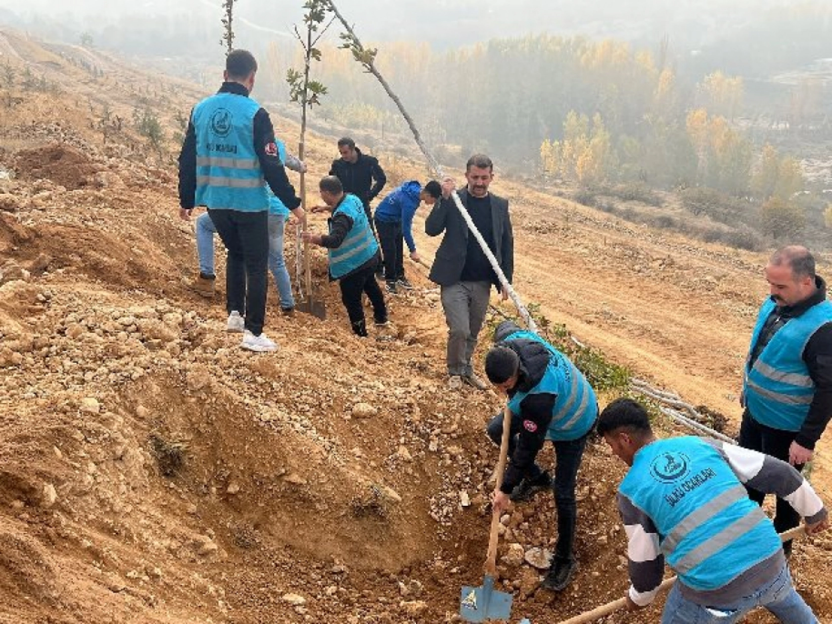 Ülkü Ocakları Malatya İl Başkanlığı'ndan Fidan Dikimi: Geleceğe Yeşil Miras