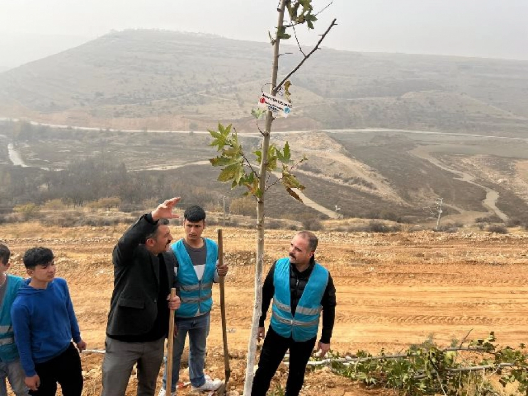Ülkü Ocakları Malatya İl Başkanlığı'ndan Fidan Dikimi: Geleceğe Yeşil Miras
