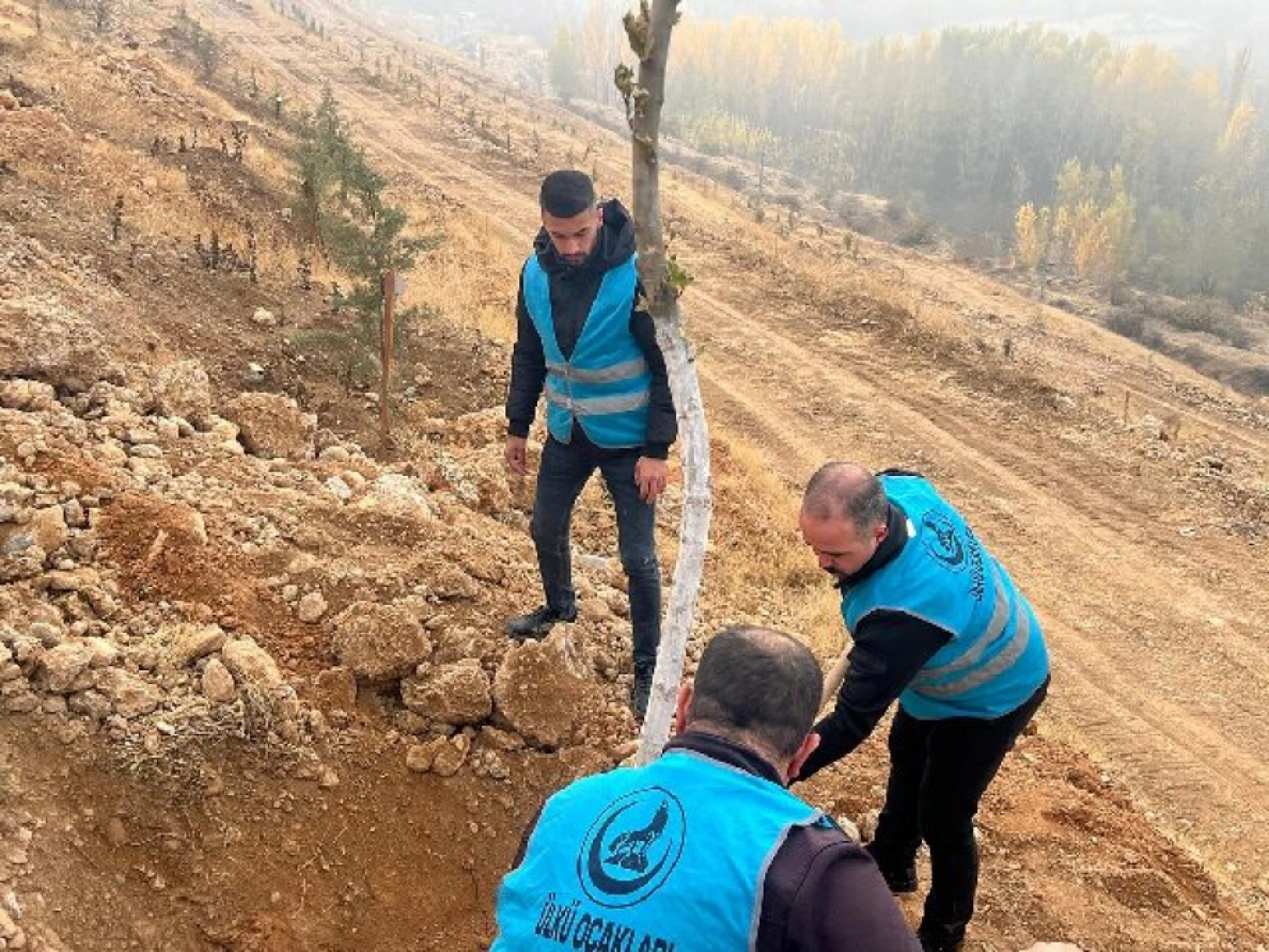 Ülkü Ocakları Malatya İl Başkanlığı'ndan Fidan Dikimi: Geleceğe Yeşil Miras