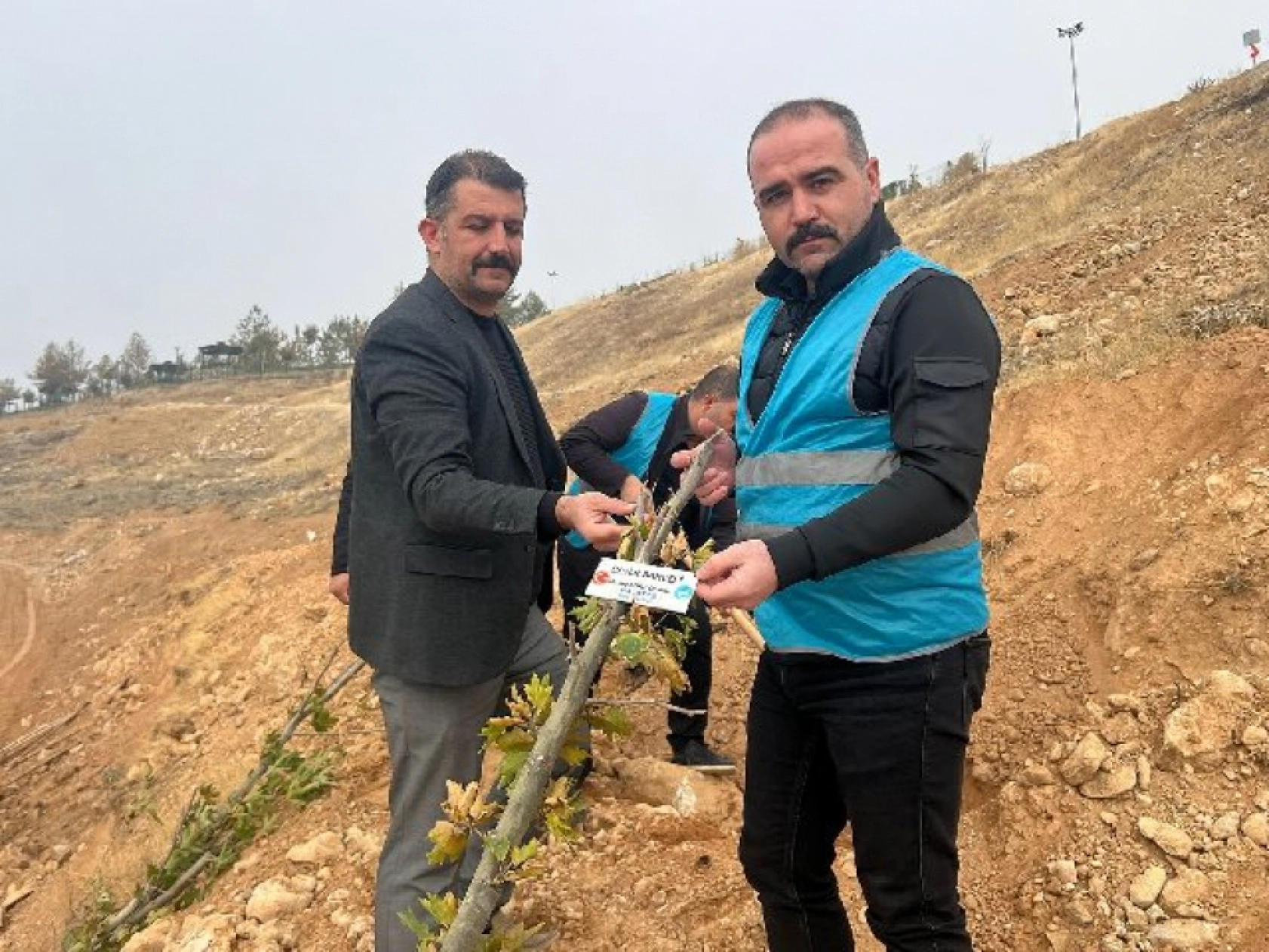 Ülkü Ocakları Malatya İl Başkanlığı'ndan Fidan Dikimi: Geleceğe Yeşil Miras