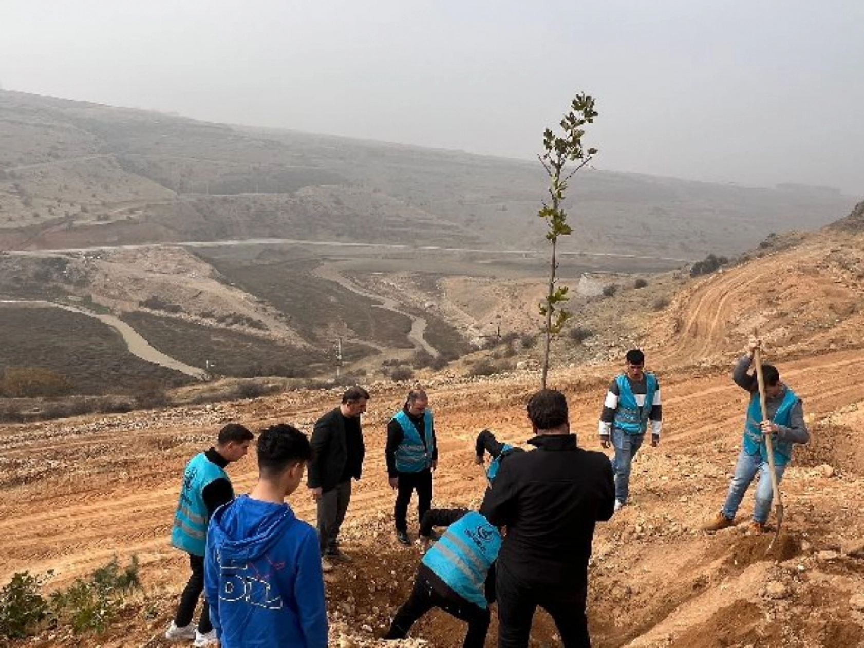 Ülkü Ocakları Malatya İl Başkanlığı'ndan Fidan Dikimi: Geleceğe Yeşil Miras