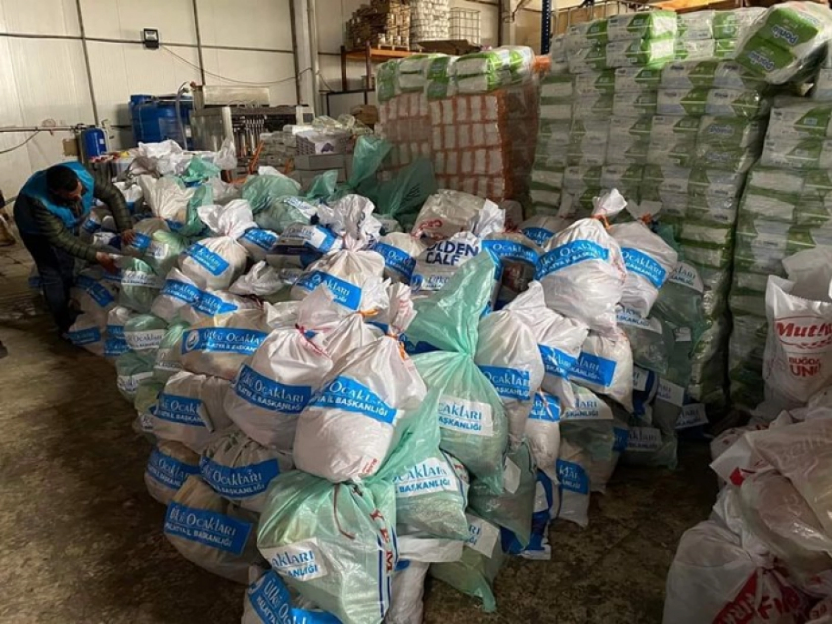 Kurt Sancaklı Bozkurtlar..!