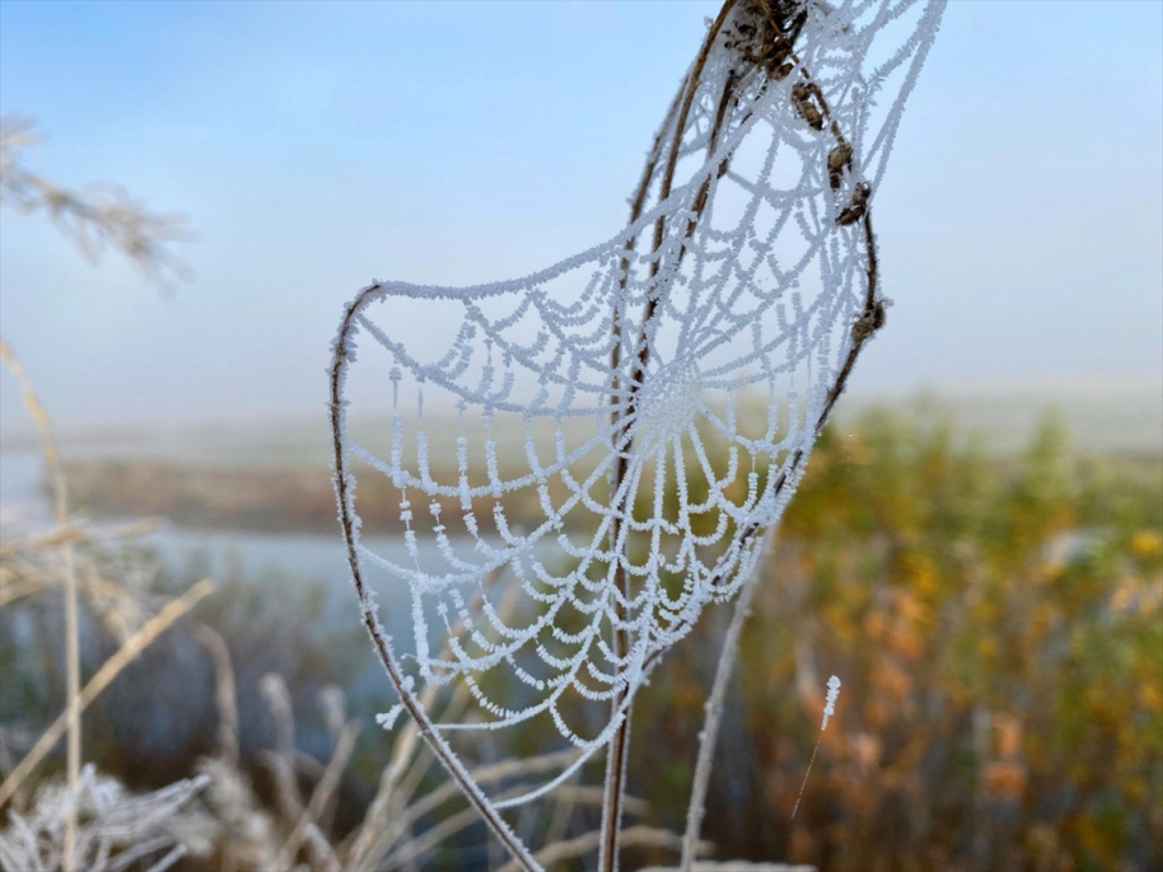 Ardahan ve Kars'ta soğuk hava kırağı, buzlanma ve sis oluşturdu