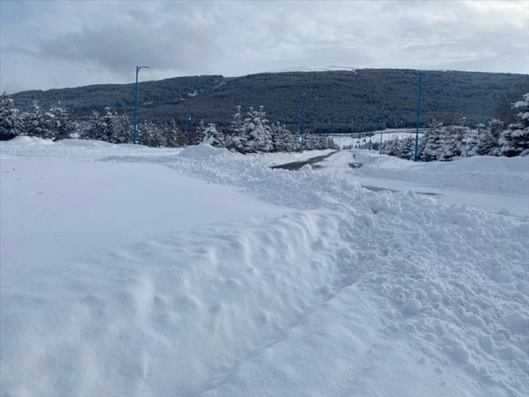 Erzurum, Kars, Ardahan, Ağrı ve Tunceli'de dondurucu soğuk etkili oluyor