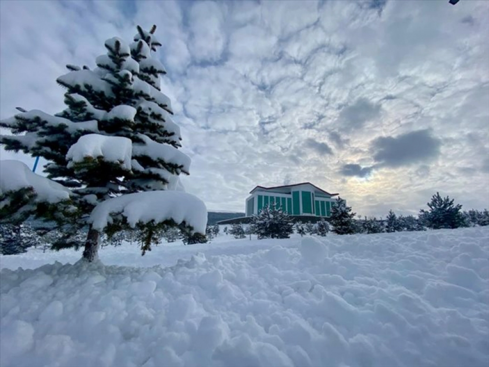 Erzurum, Kars, Ardahan, Ağrı ve Tunceli'de dondurucu soğuk etkili oluyor