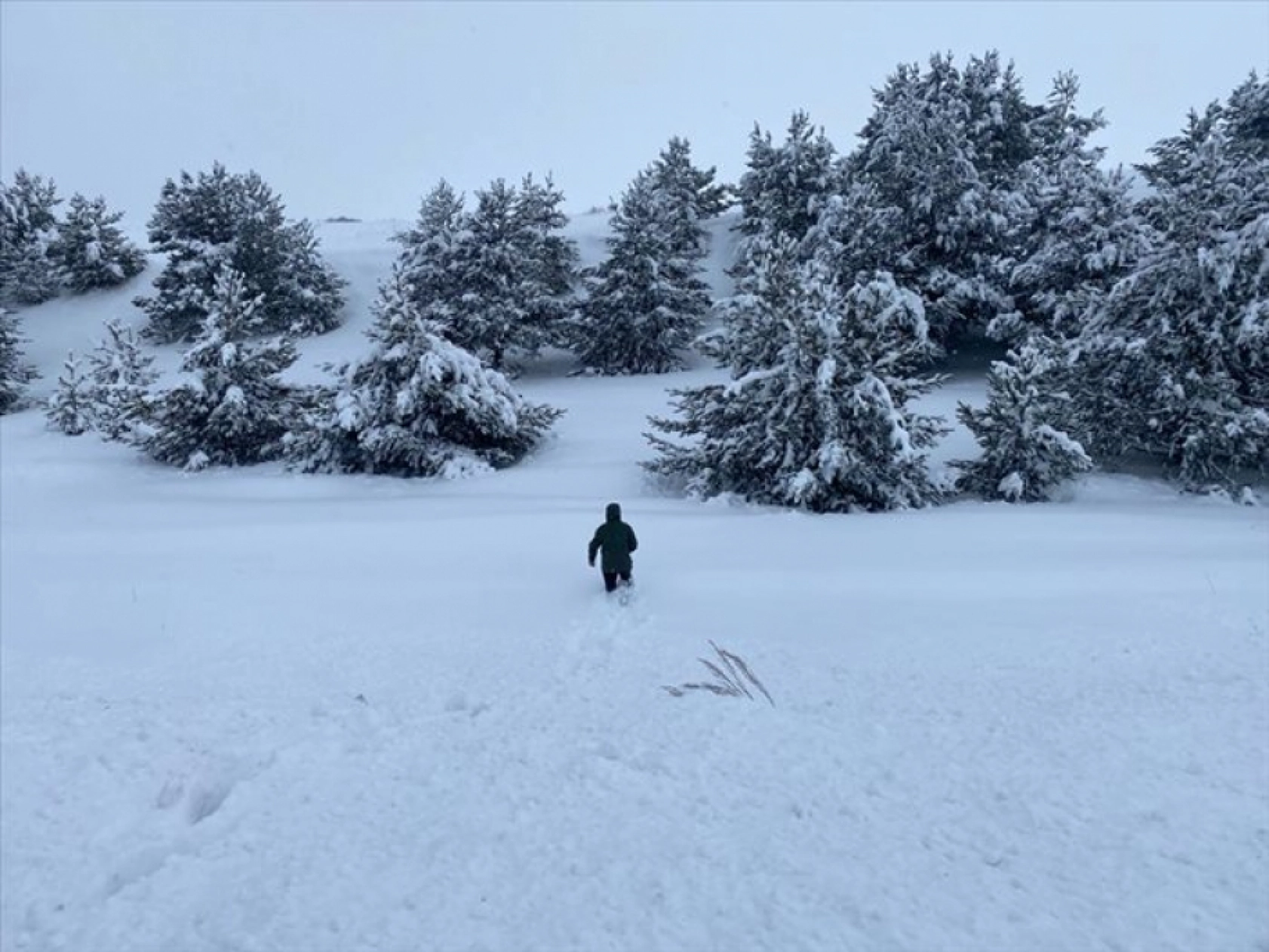 Erzurum, Kars, Ardahan, Ağrı ve Tunceli'de dondurucu soğuk etkili oluyor