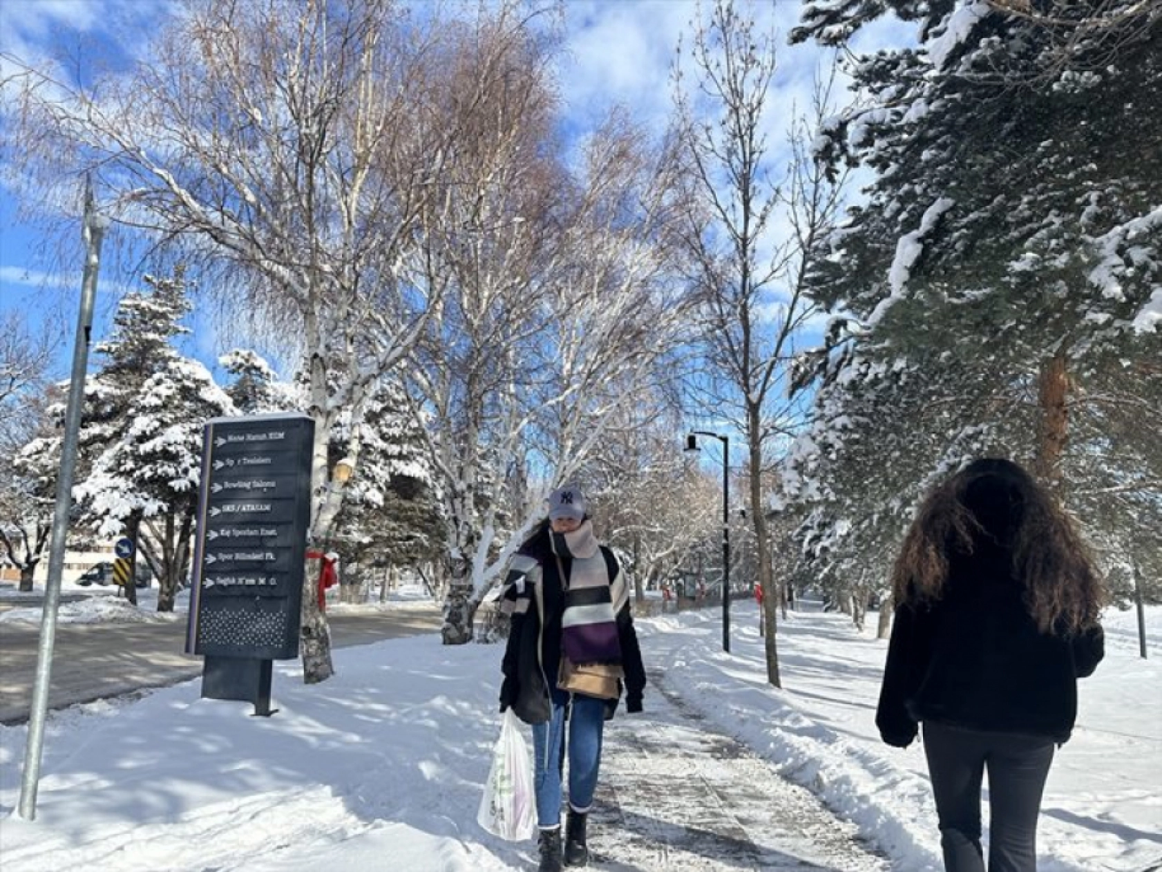 Erzurum, Kars, Ardahan, Ağrı ve Tunceli'de dondurucu soğuk etkili oluyor