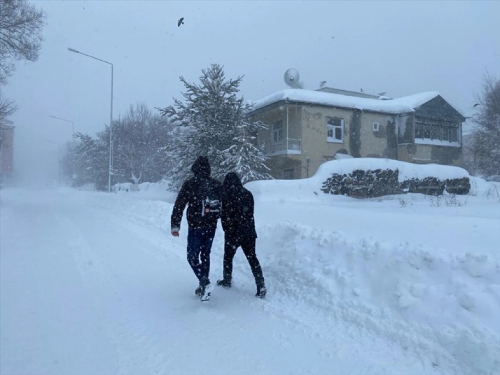 Ardahan'da yoğun kar yağışı etkili oldu