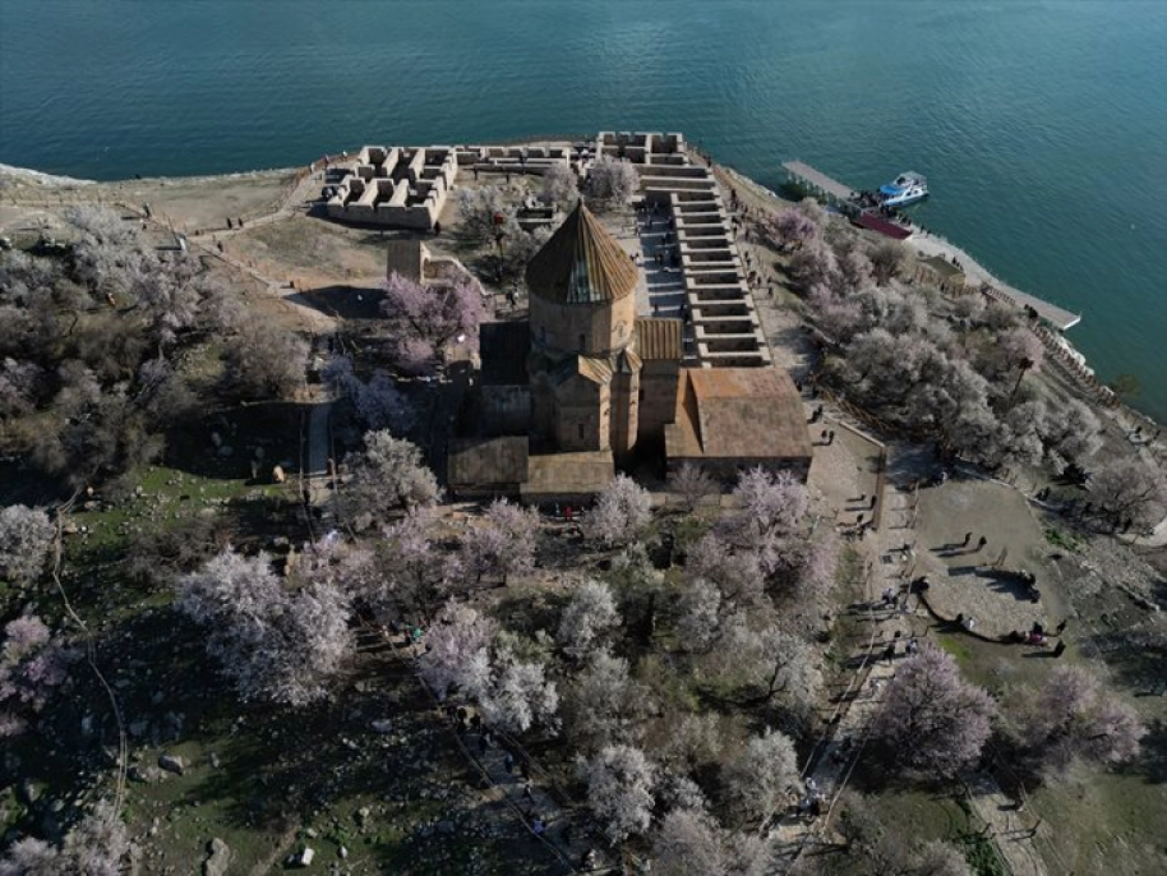 Çiçek açan badem ağaçları Akdamar Adası'nı renklendirdi
