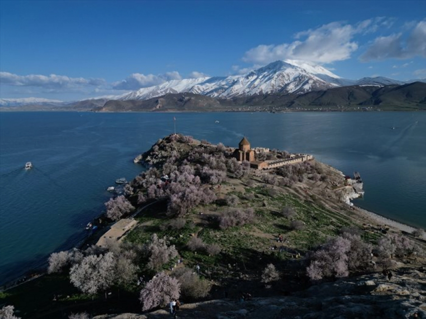 Çiçek açan badem ağaçları Akdamar Adası'nı renklendirdi