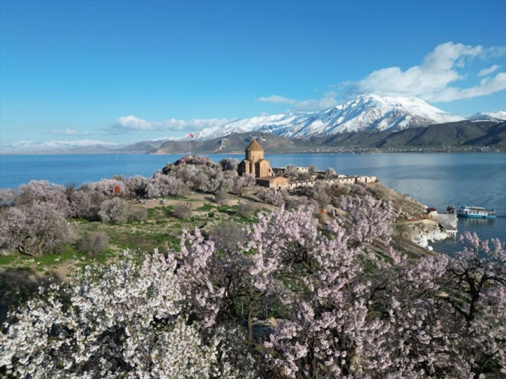 Çiçek açan badem ağaçları Akdamar Adası'nı renklendirdi