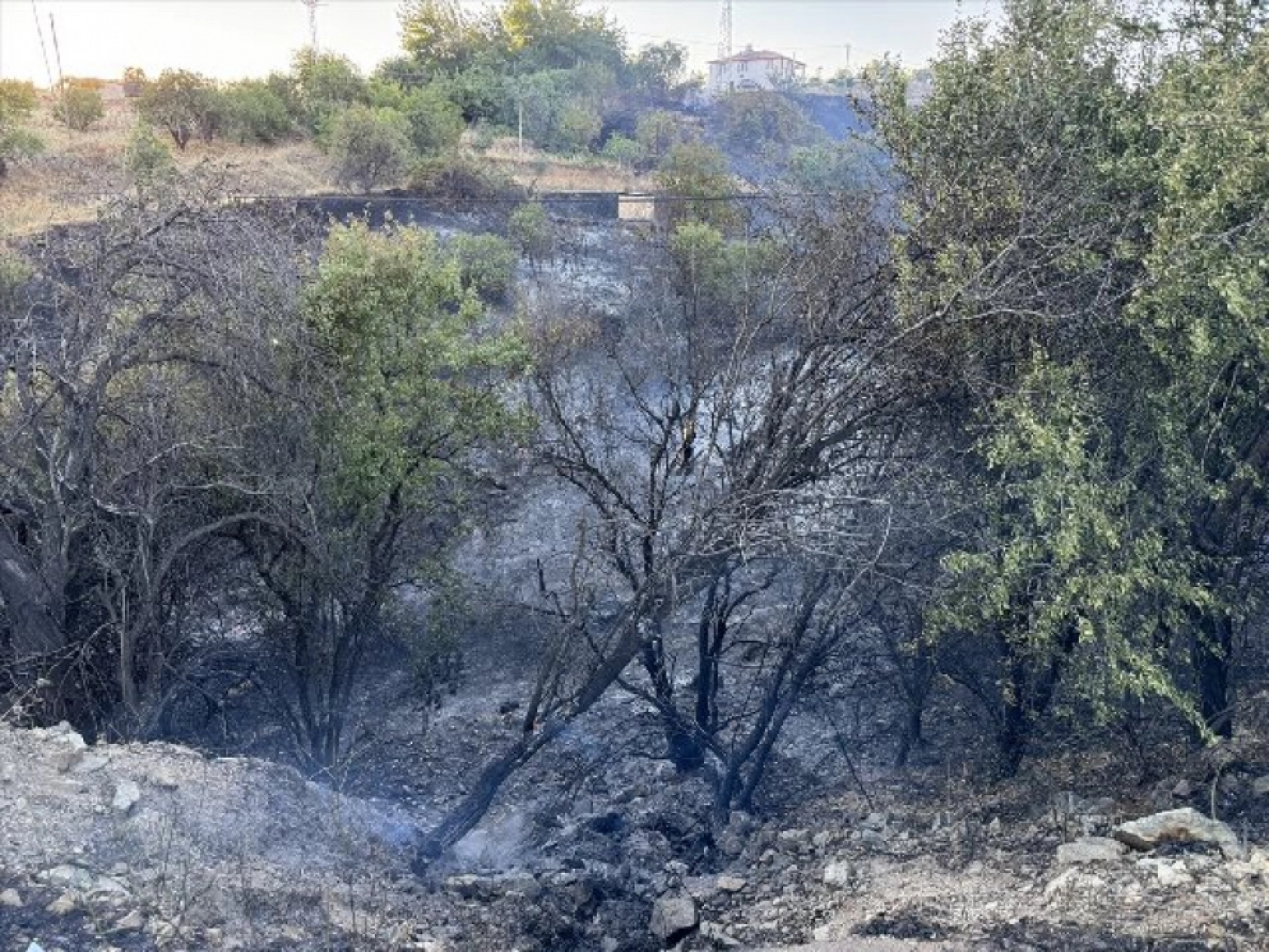 Elazığ'da çıkan yangın kontrol altına alındı