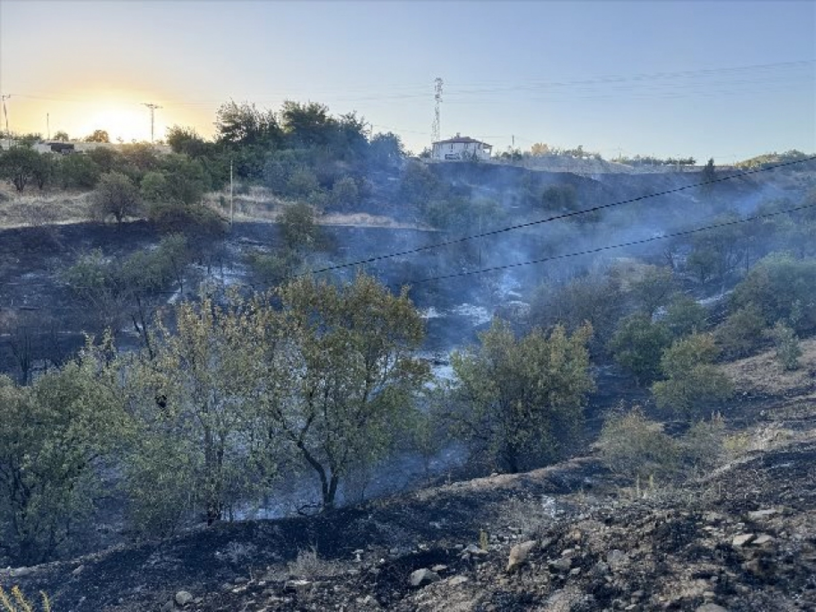 Elazığ'da çıkan yangın kontrol altına alındı