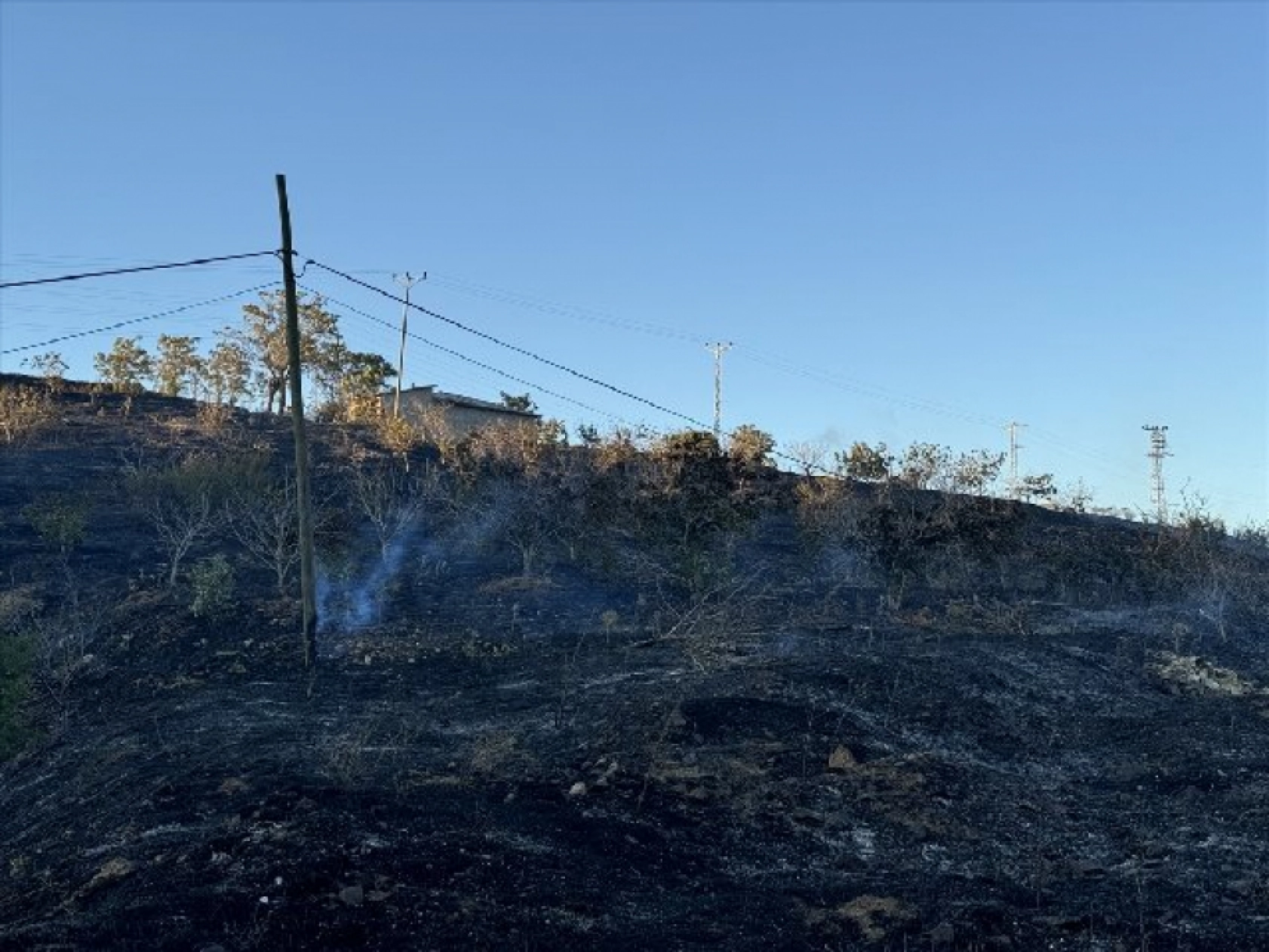 Elazığ'da çıkan yangın kontrol altına alındı