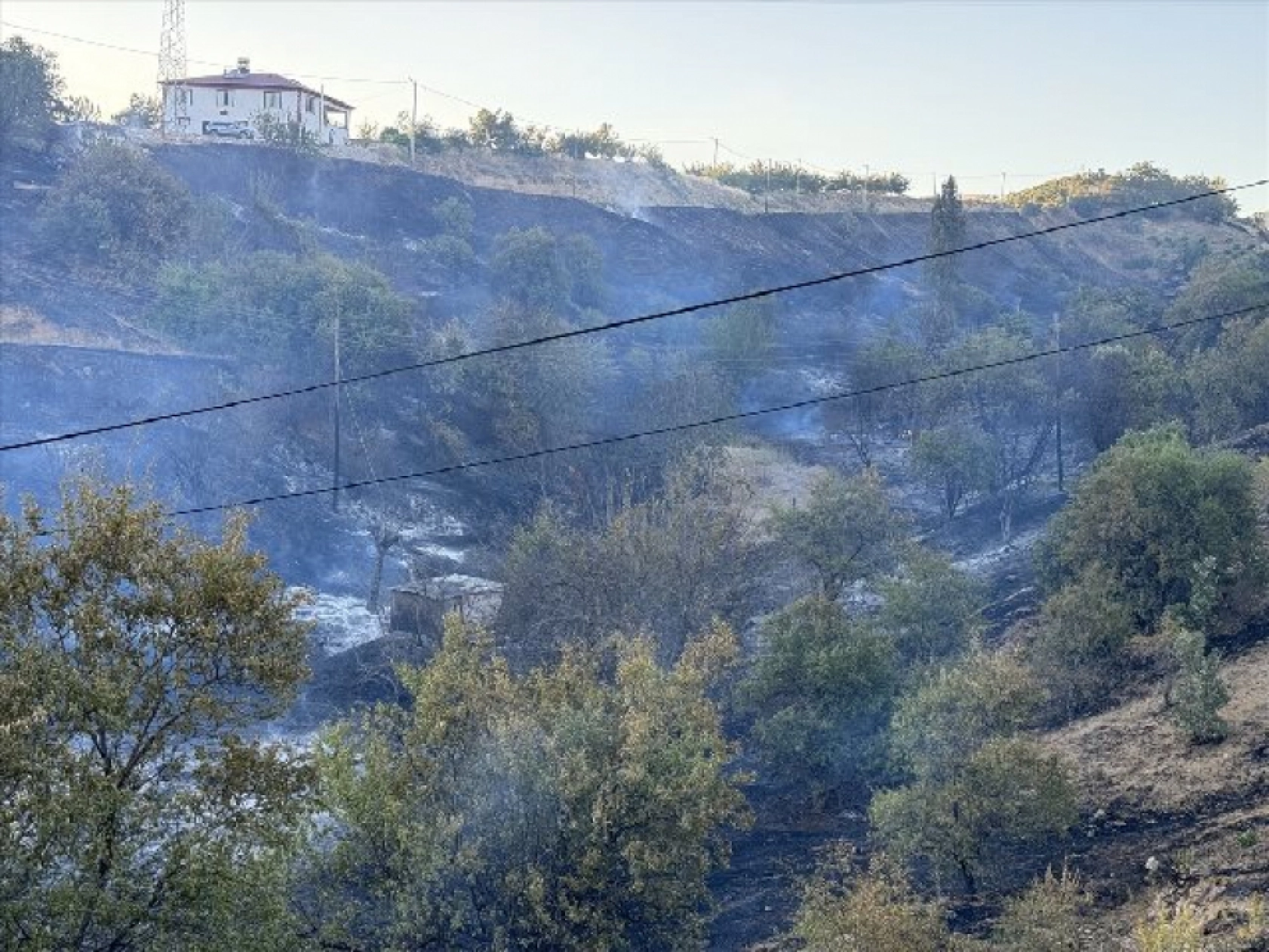 Elazığ'da çıkan yangın kontrol altına alındı