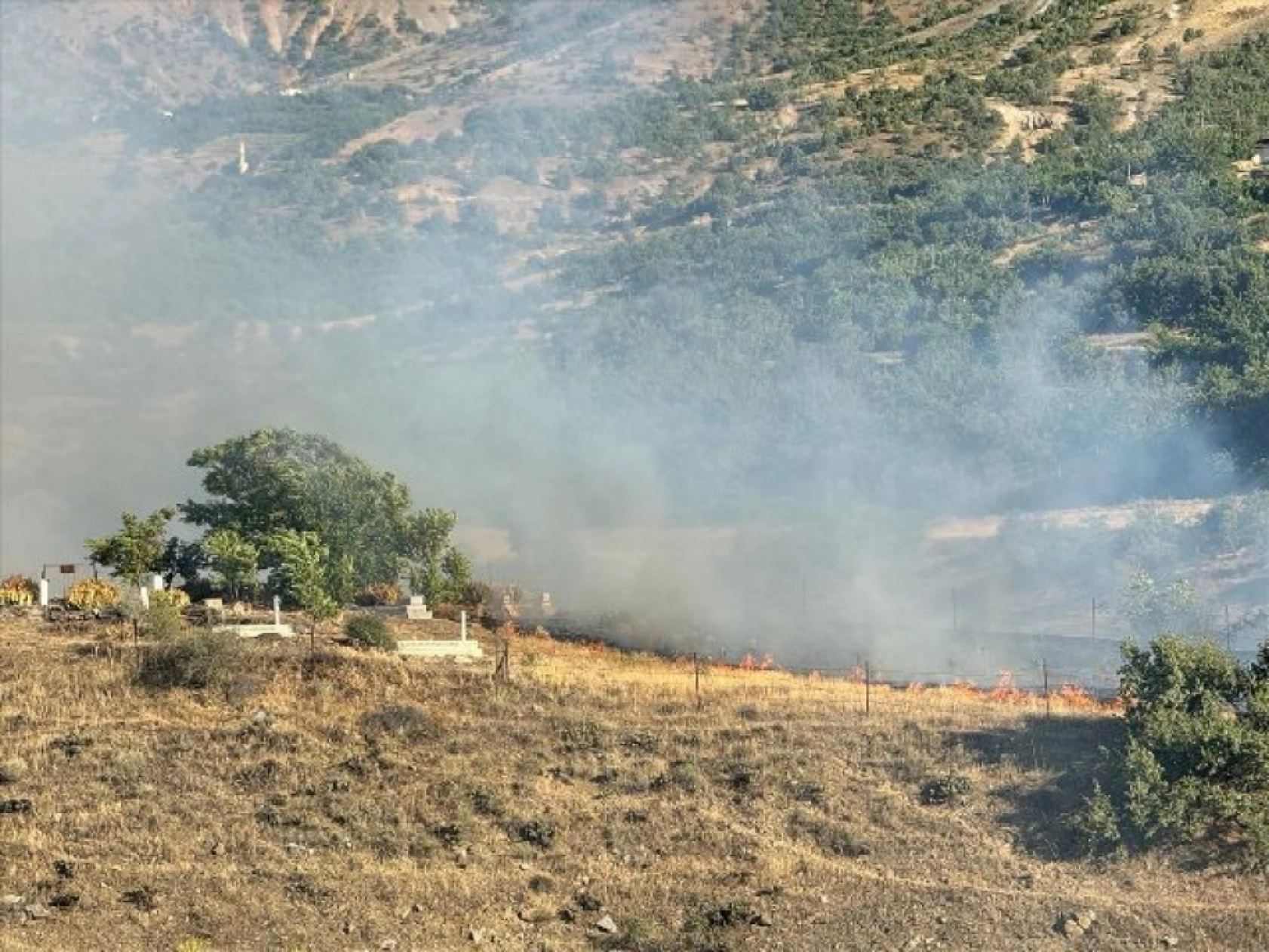 Elazığ'da çıkan yangın kontrol altına alındı