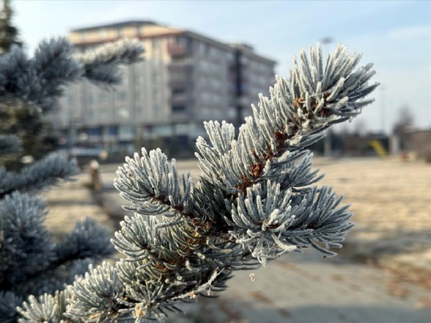 Soğuk hava yaşamı olumsuz etkiliyor