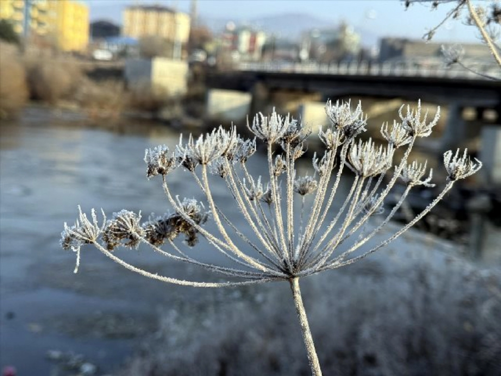 Soğuk hava yaşamı olumsuz etkiliyor