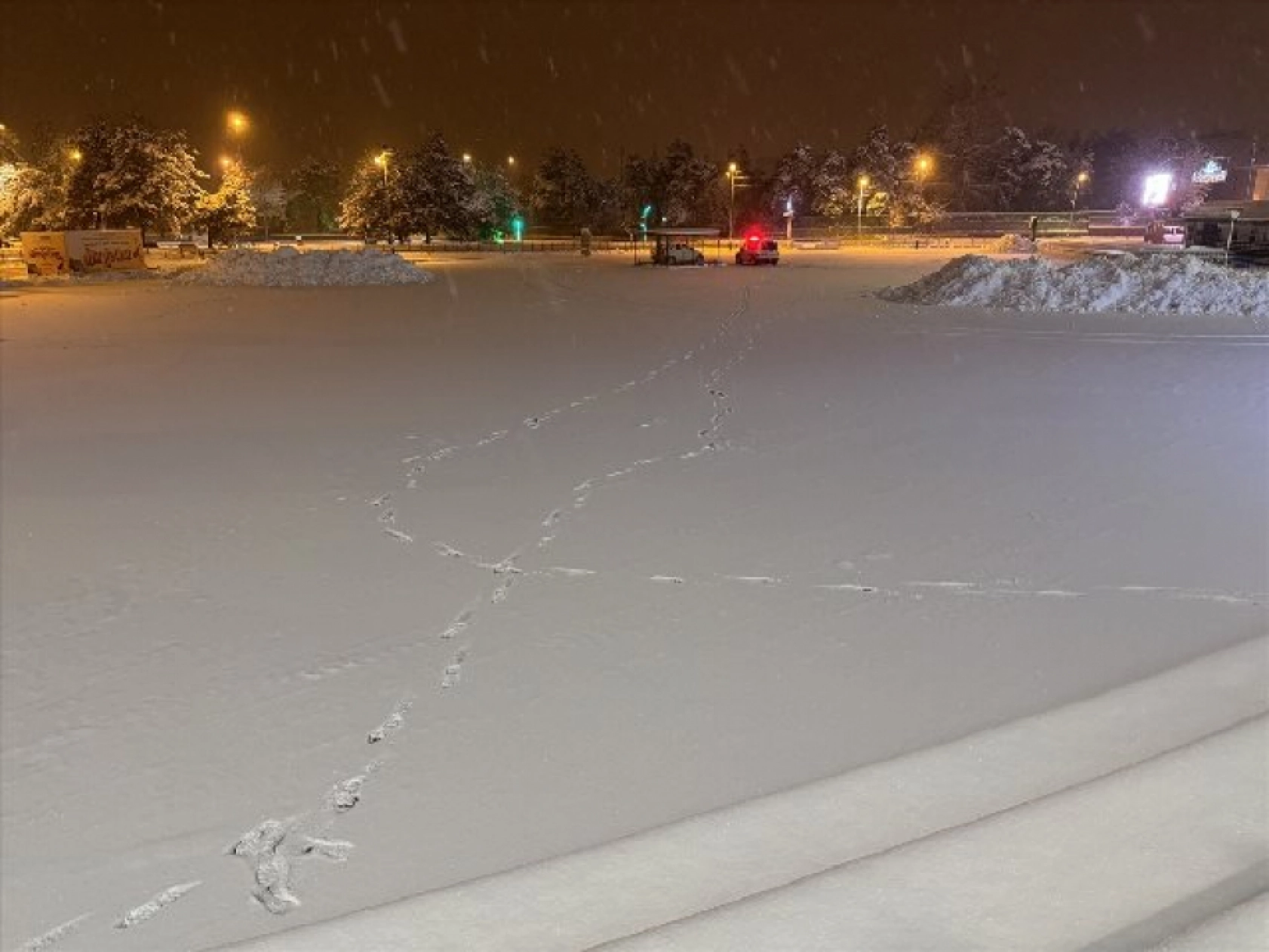 Erzurum'da kar yağışı etkisini sürdürüyor