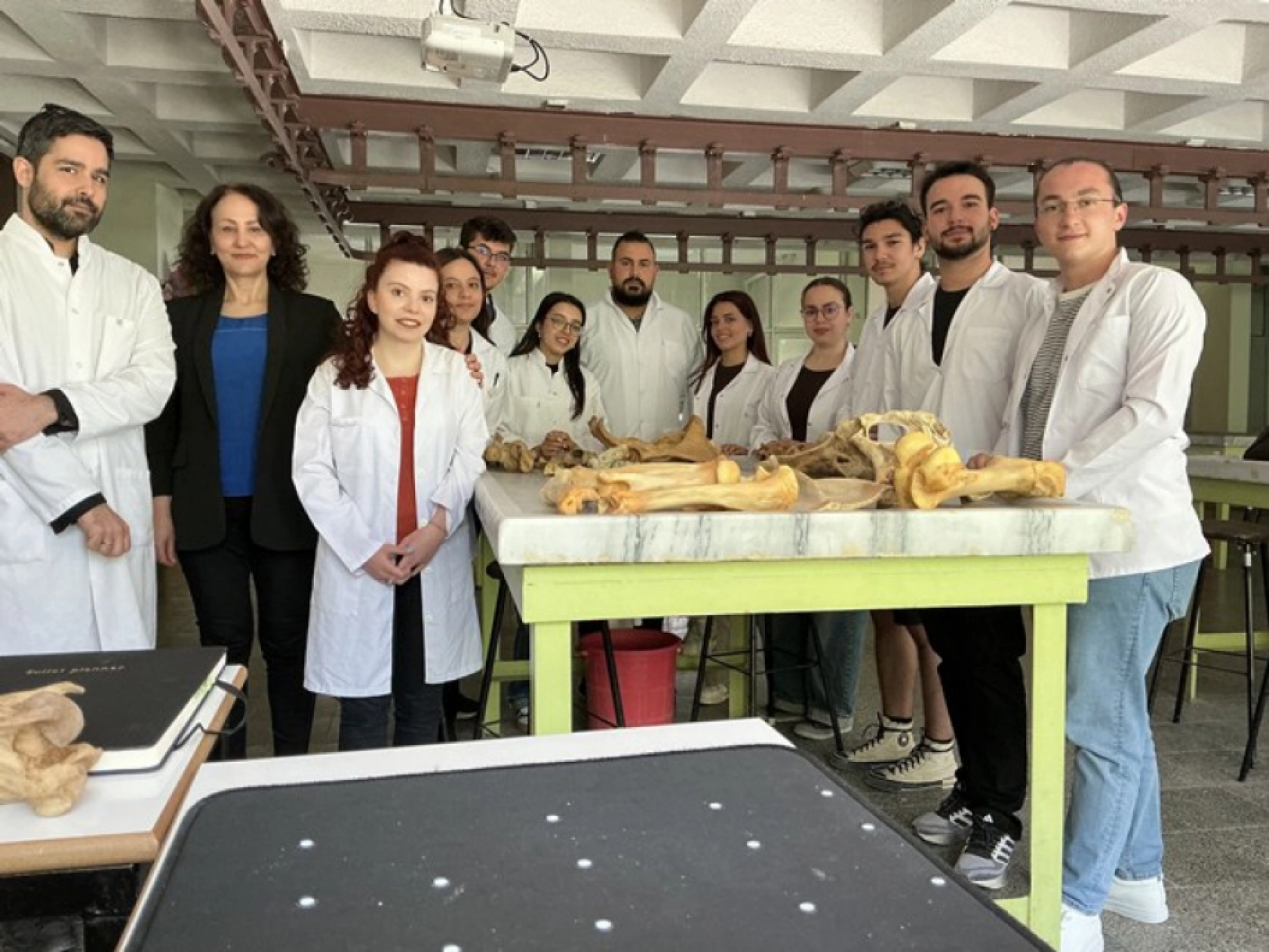 Tarihle Teknoloji Buluştu: Hayvan İskeletleri Yapay Zekâyla Dijitale Taşınıyor