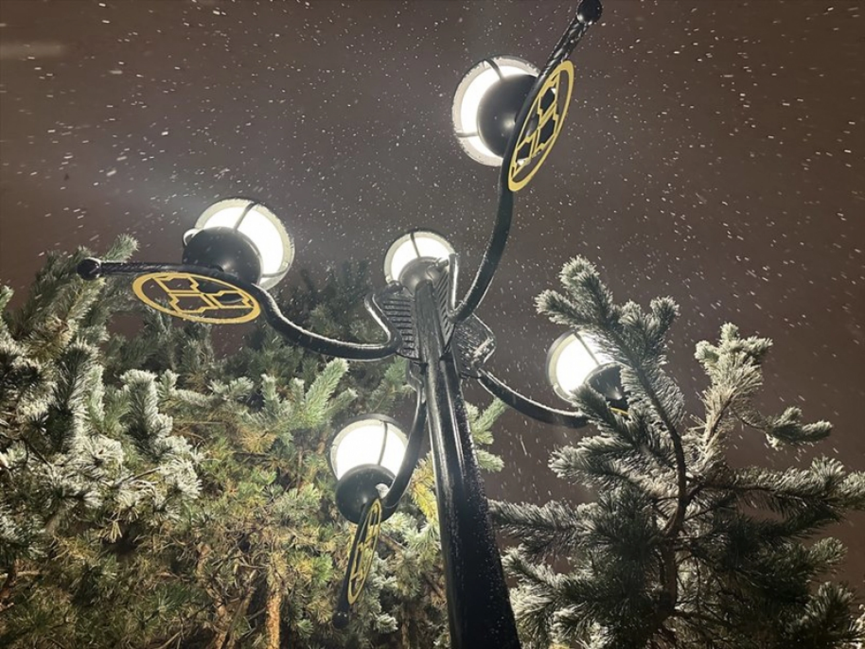 Erzurum'da kar etkili oldu